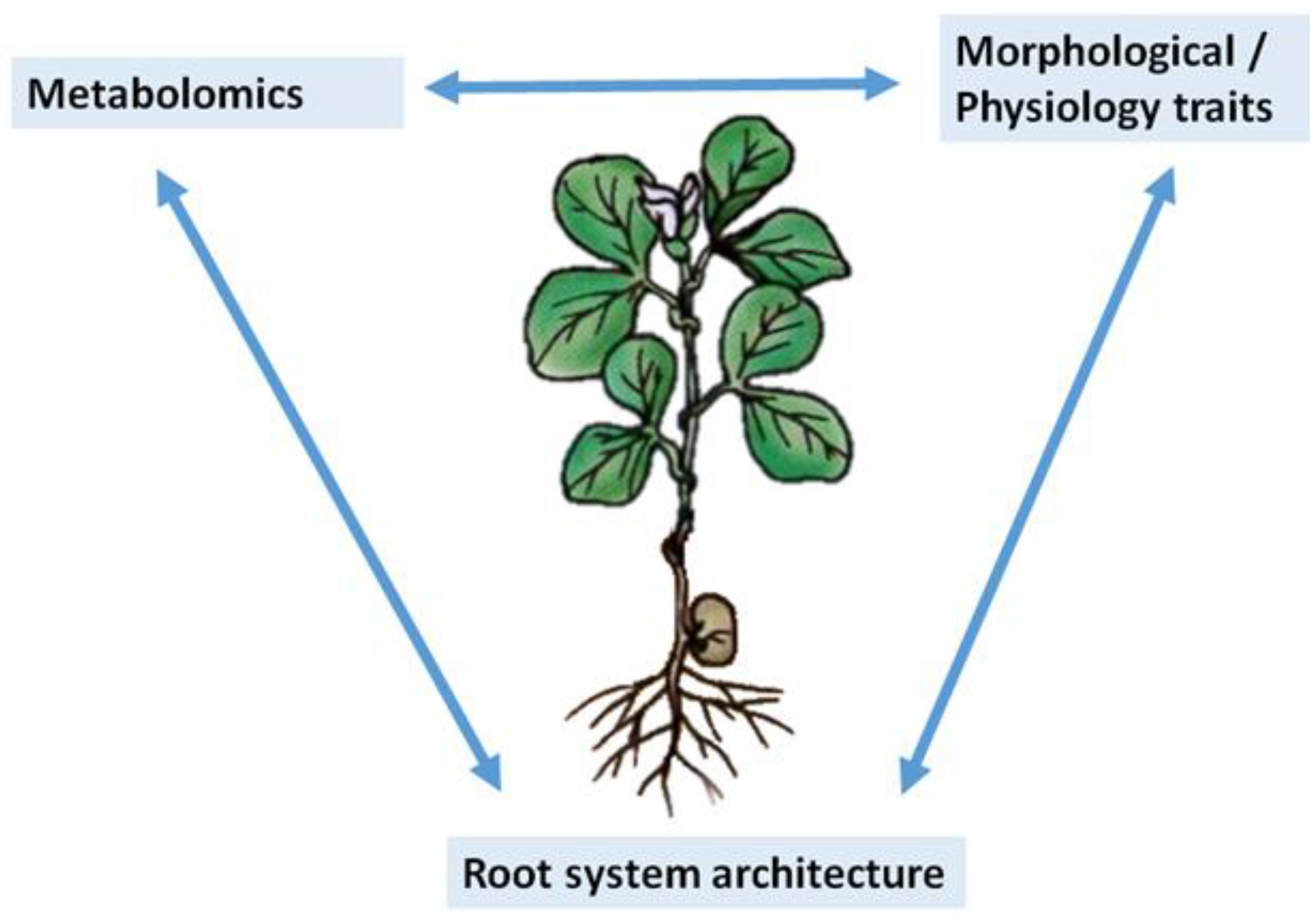 Agronomy 10 01345 g002 Agronomy 10 01345 g002
