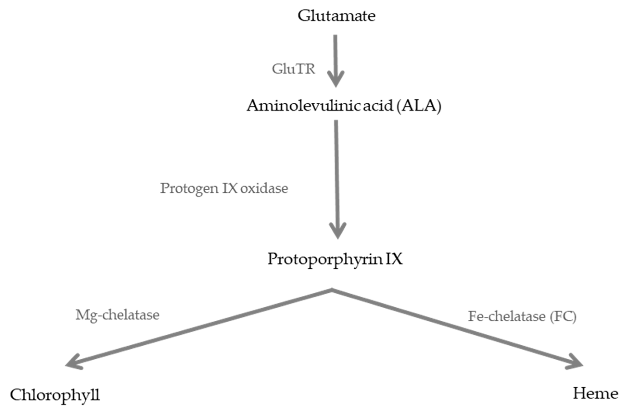 Agronomy 10 01351 g001 Agronomy 10 01351 g001