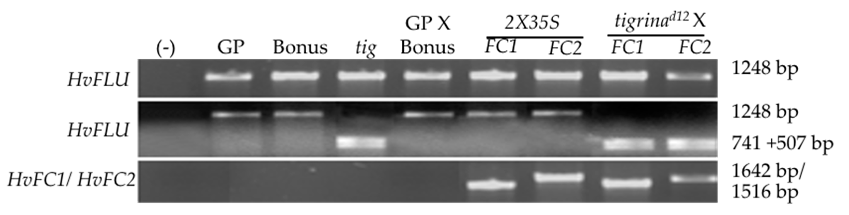 Agronomy 10 01351 g006 Agronomy 10 01351 g006