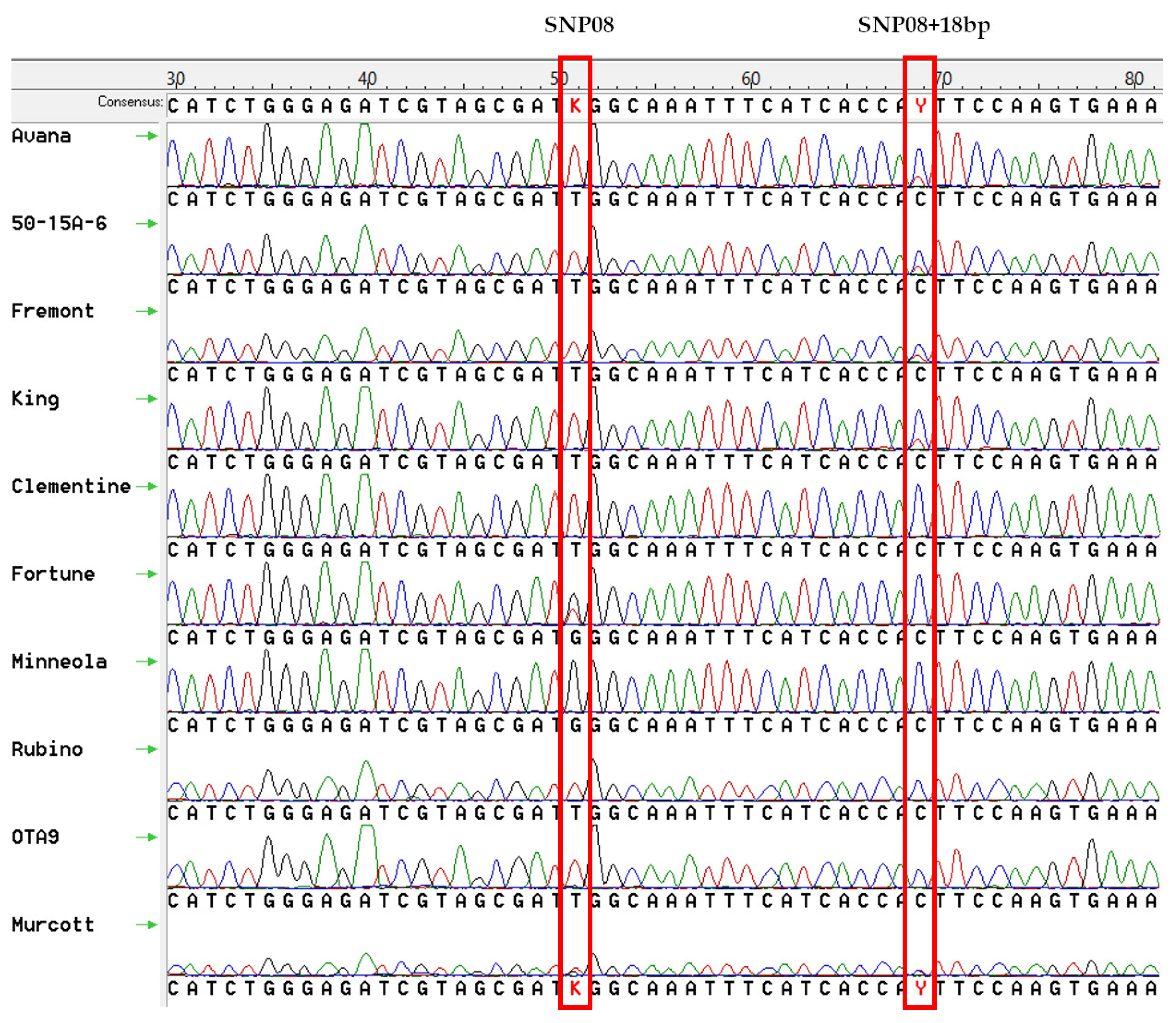 Agronomy 10 01368 g001 Agronomy 10 01368 g001