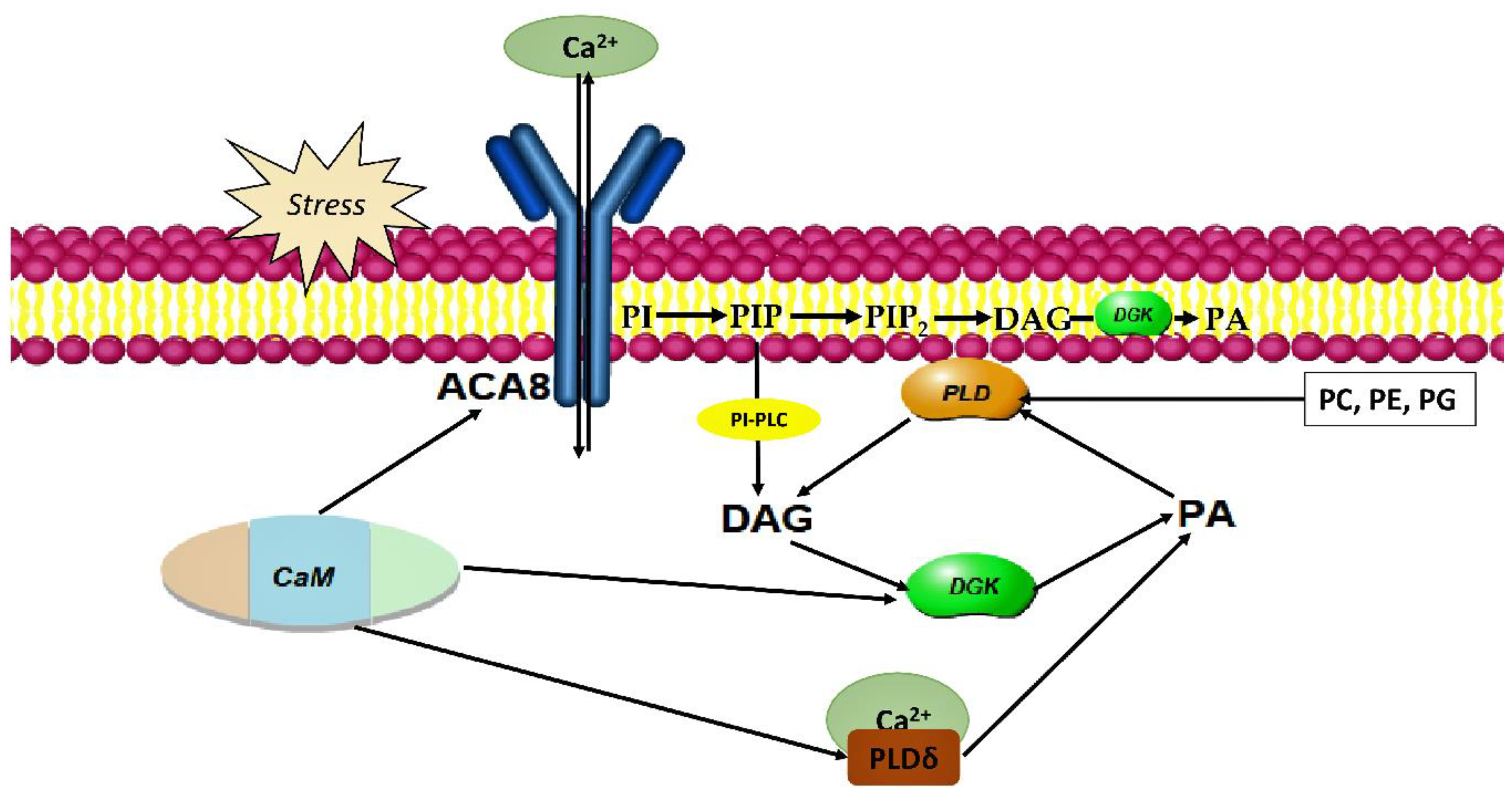Agronomy 10 01375 g003 Agronomy 10 01375 g003