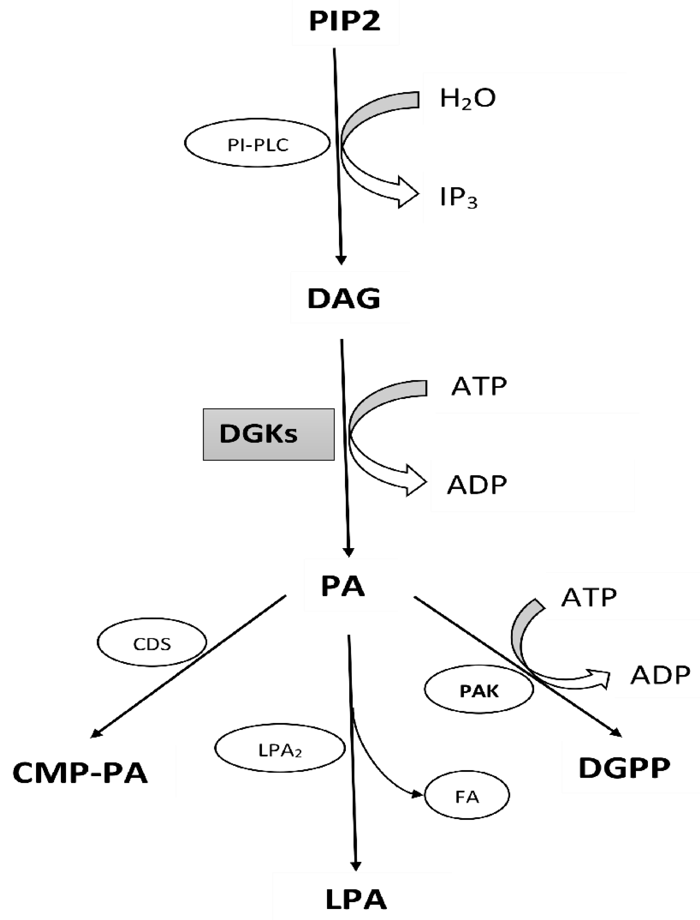 Agronomy 10 01375 g005 Agronomy 10 01375 g005