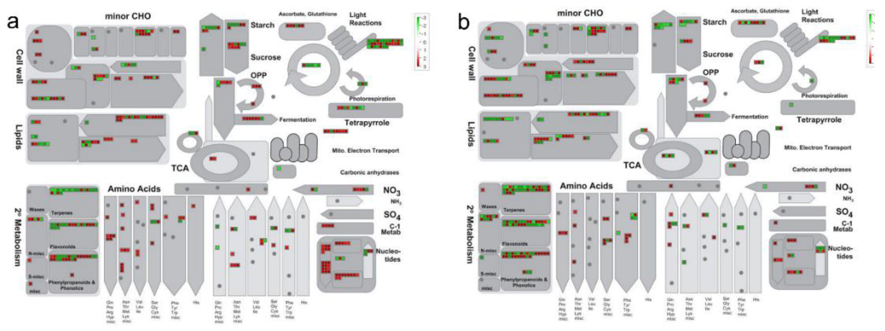 Agronomy 10 01381 g004 Agronomy 10 01381 g004