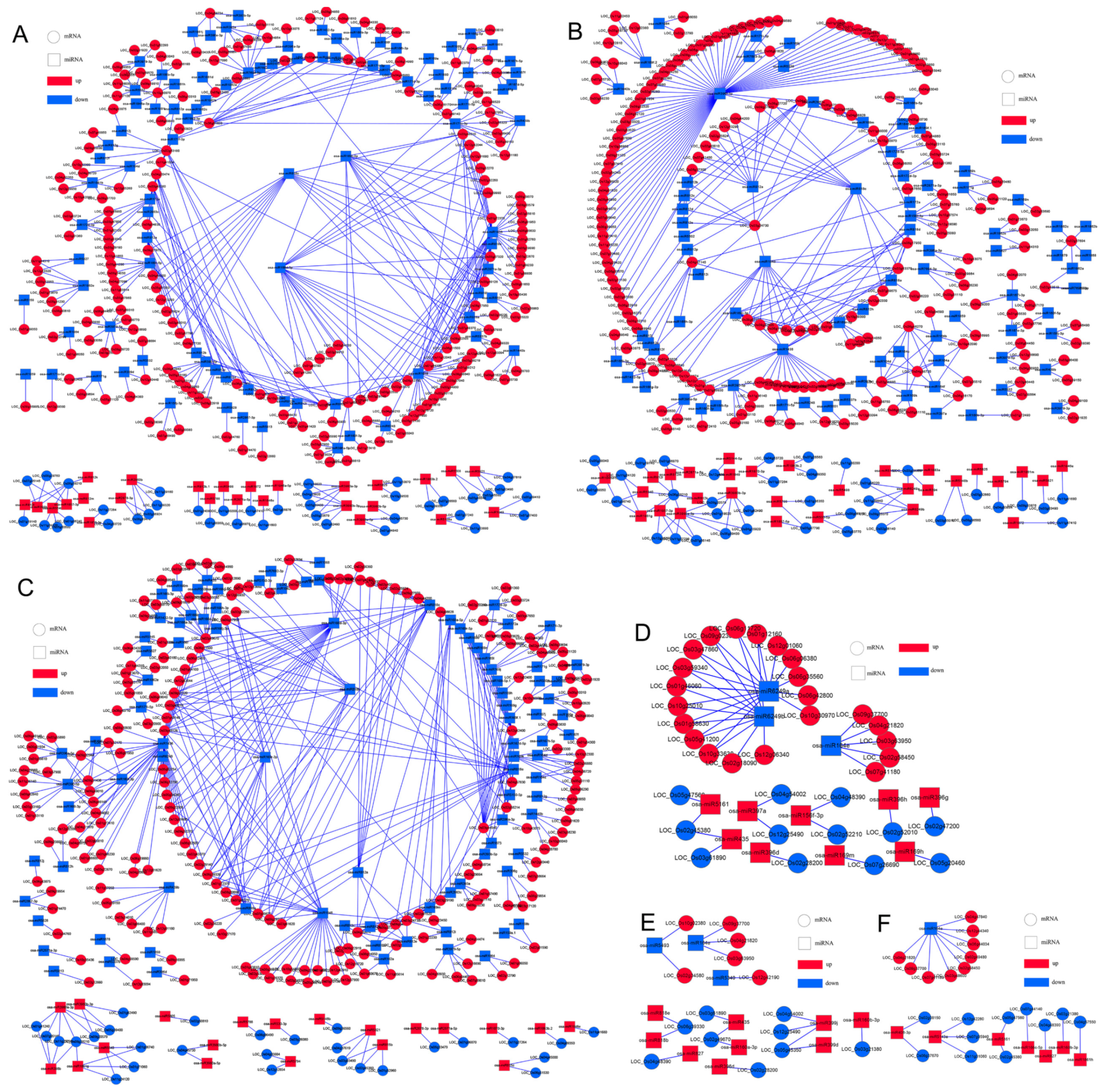 Agronomy 10 01381 g007 Agronomy 10 01381 g007