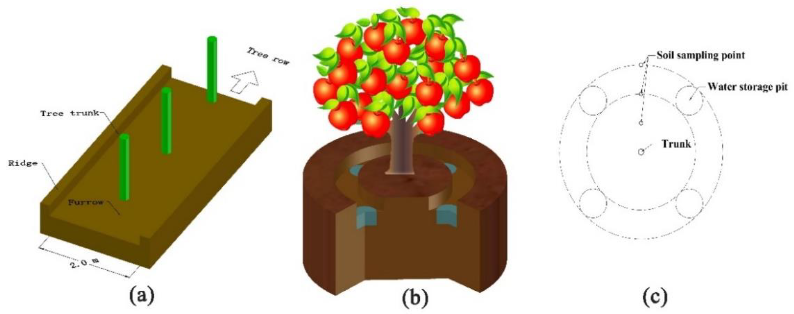 Agronomy 10 01386 g002