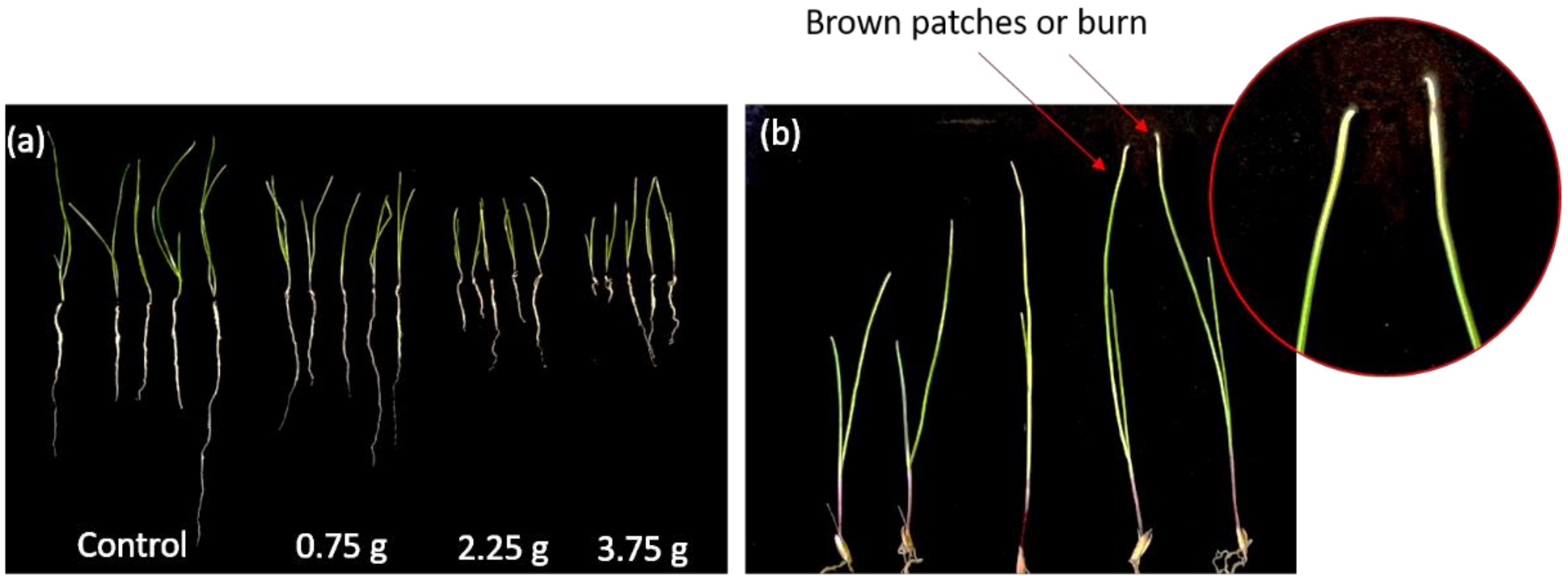 Agronomy 10 01388 g007