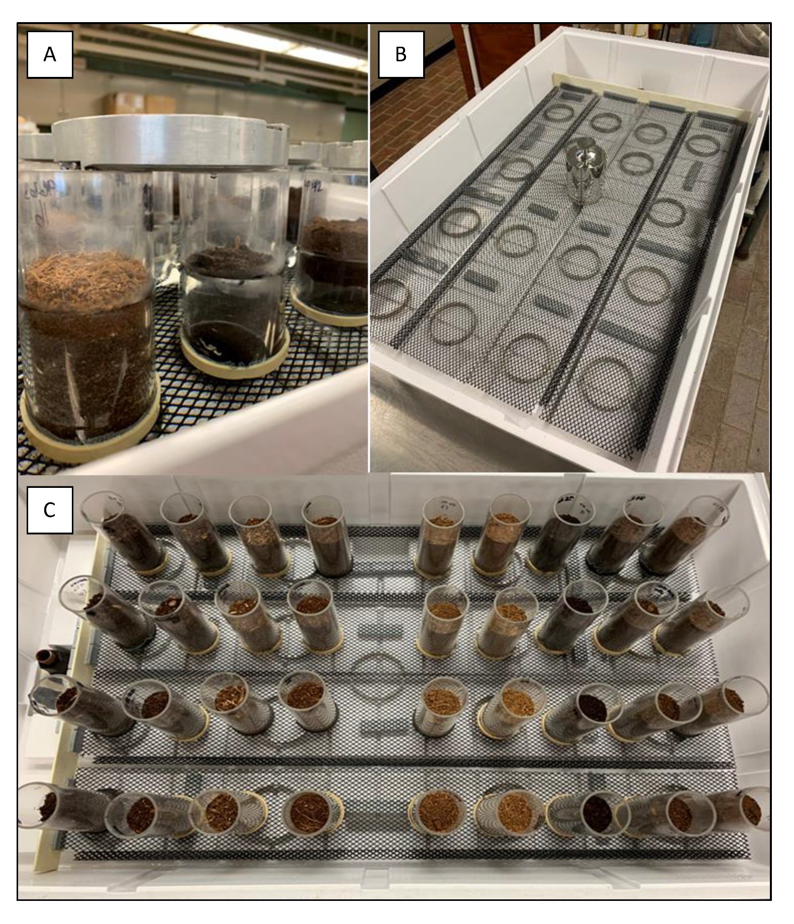 Agronomy 10 01389 g003