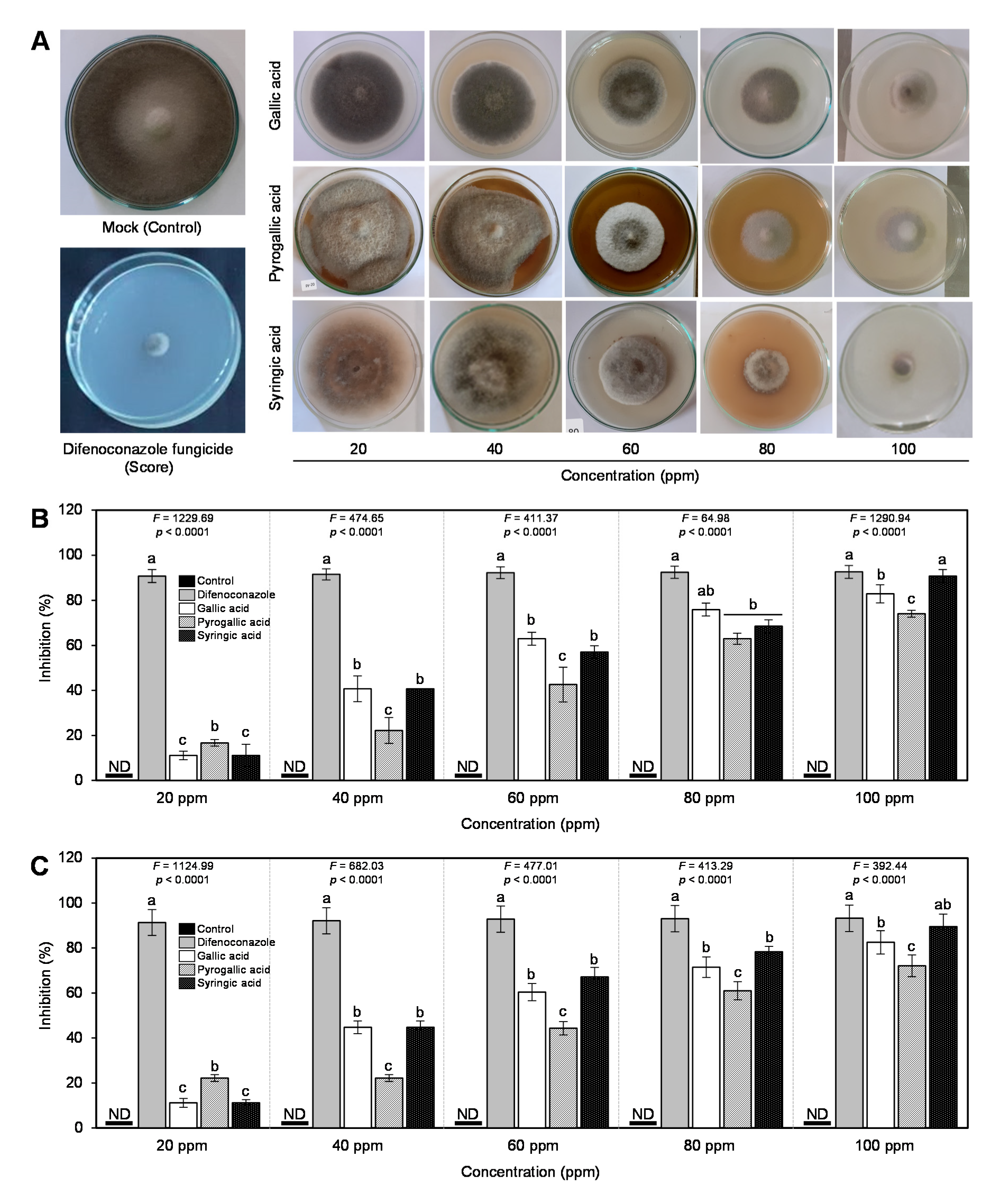 Agronomy 10 01402 g002 Agronomy 10 01402 g002