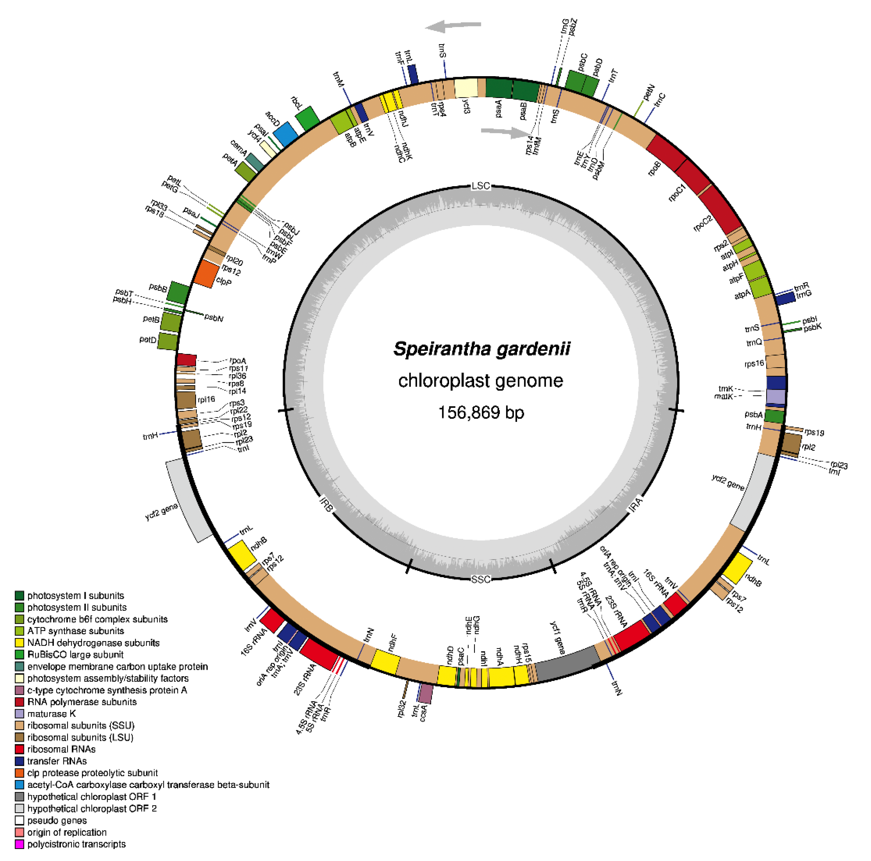 Agronomy 10 01405 g001 Agronomy 10 01405 g001