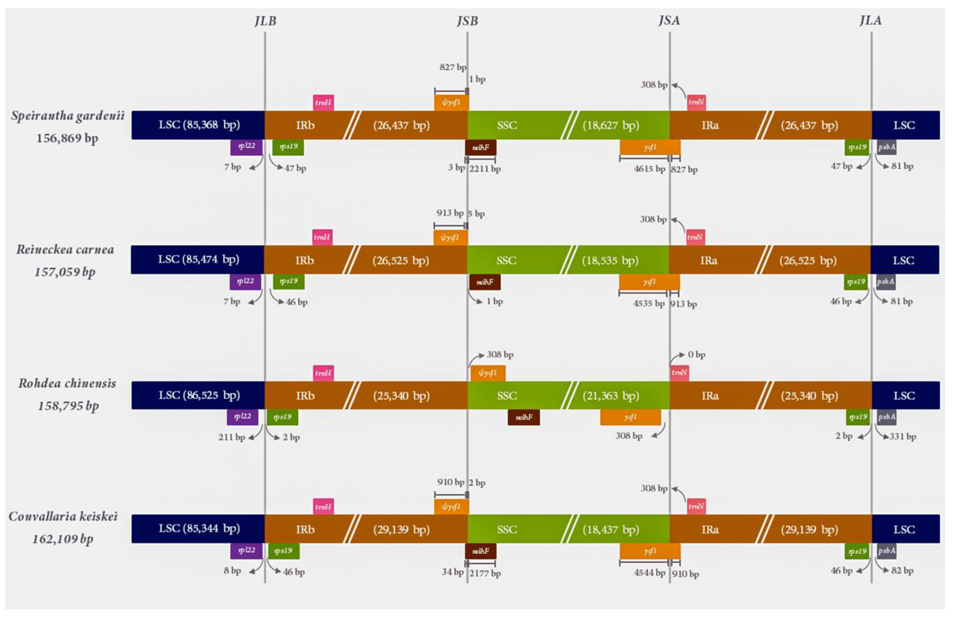 Agronomy 10 01405 g002 Agronomy 10 01405 g002