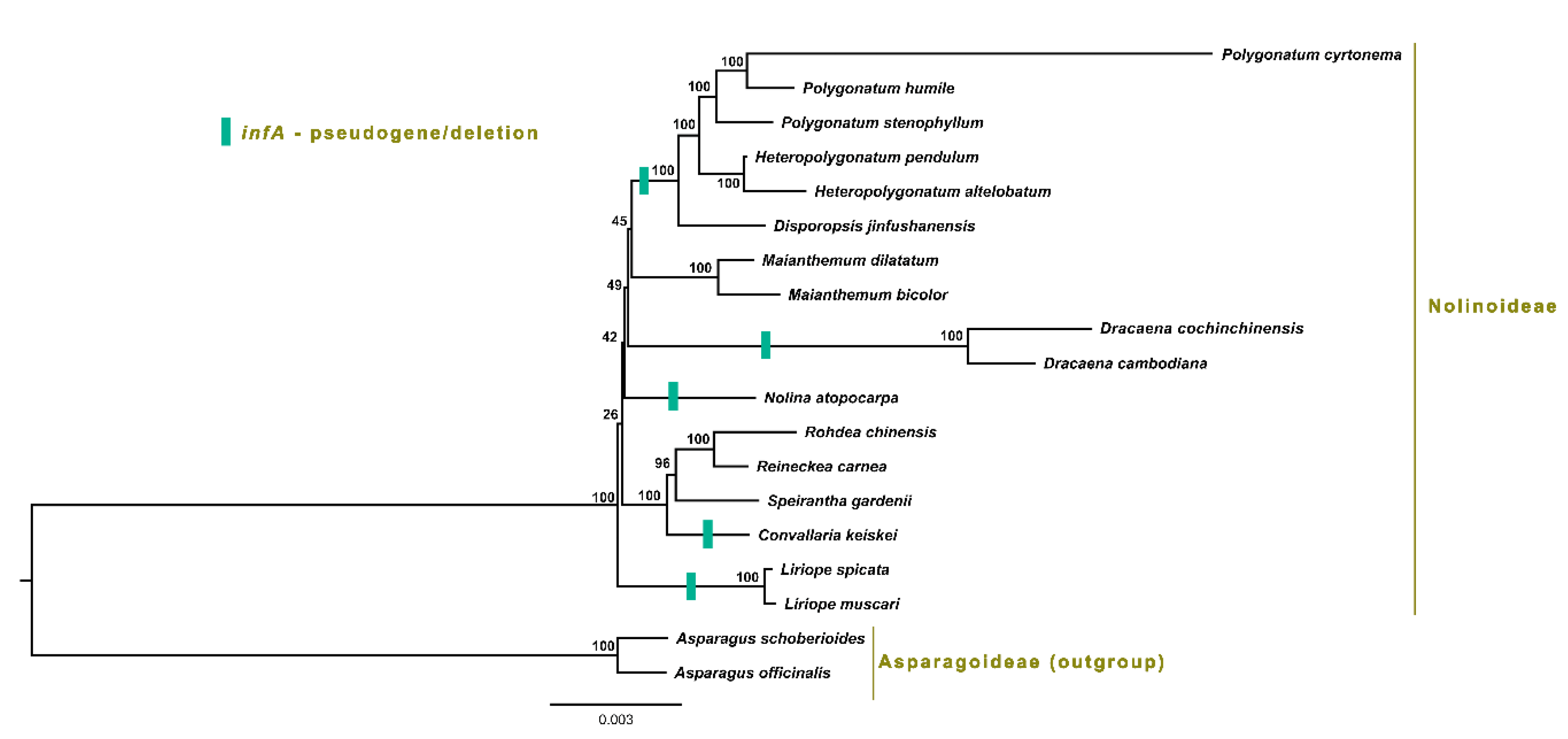 Agronomy 10 01405 g008 Agronomy 10 01405 g008