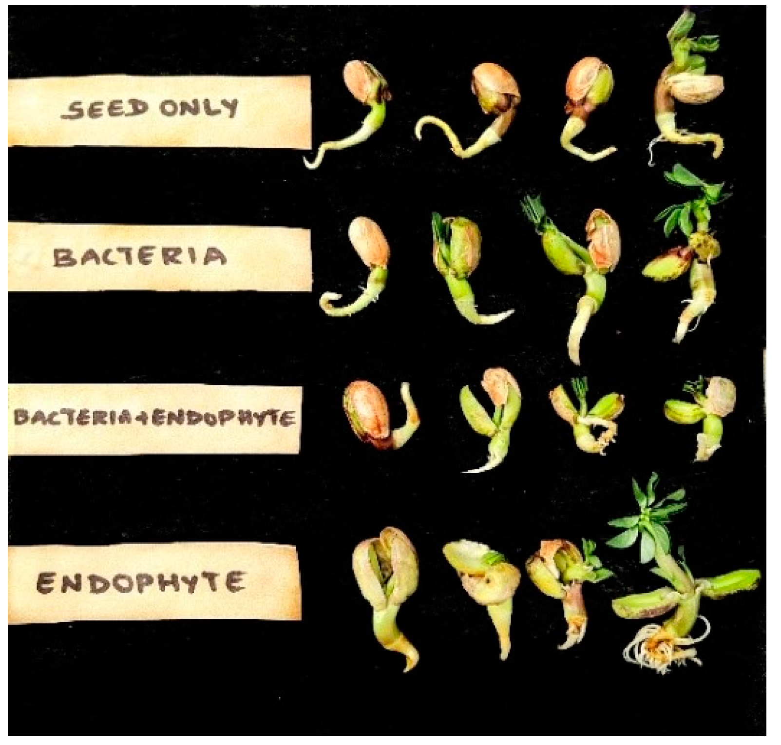 Agronomy 10 01415 g001