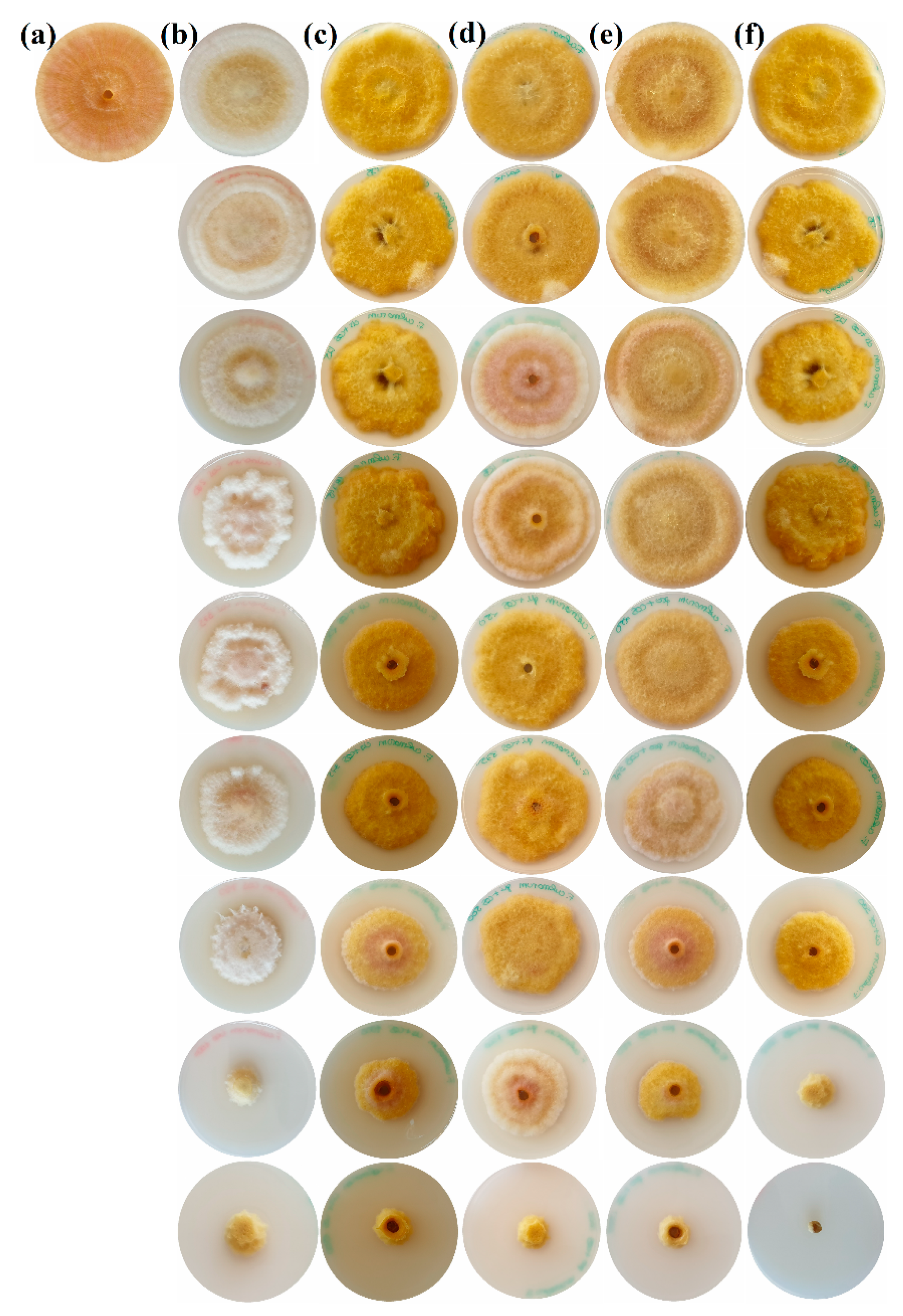 Agronomy 10 01427 g002 Agronomy 10 01427 g002