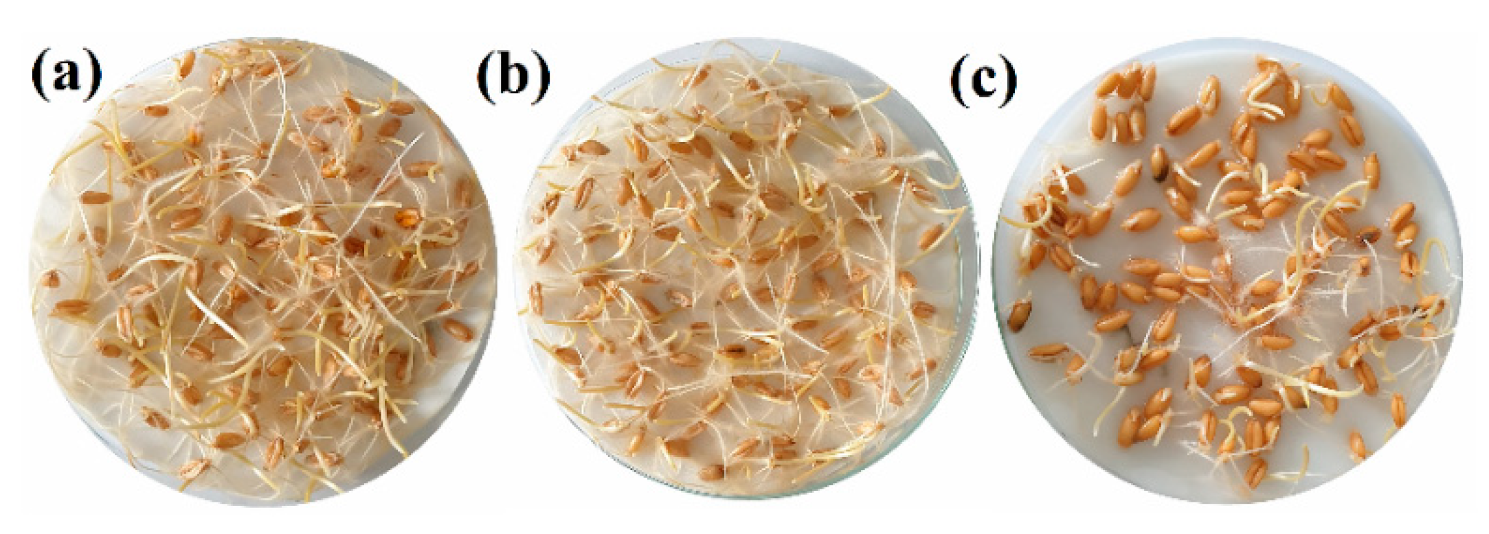 Agronomy 10 01427 g005 Agronomy 10 01427 g005