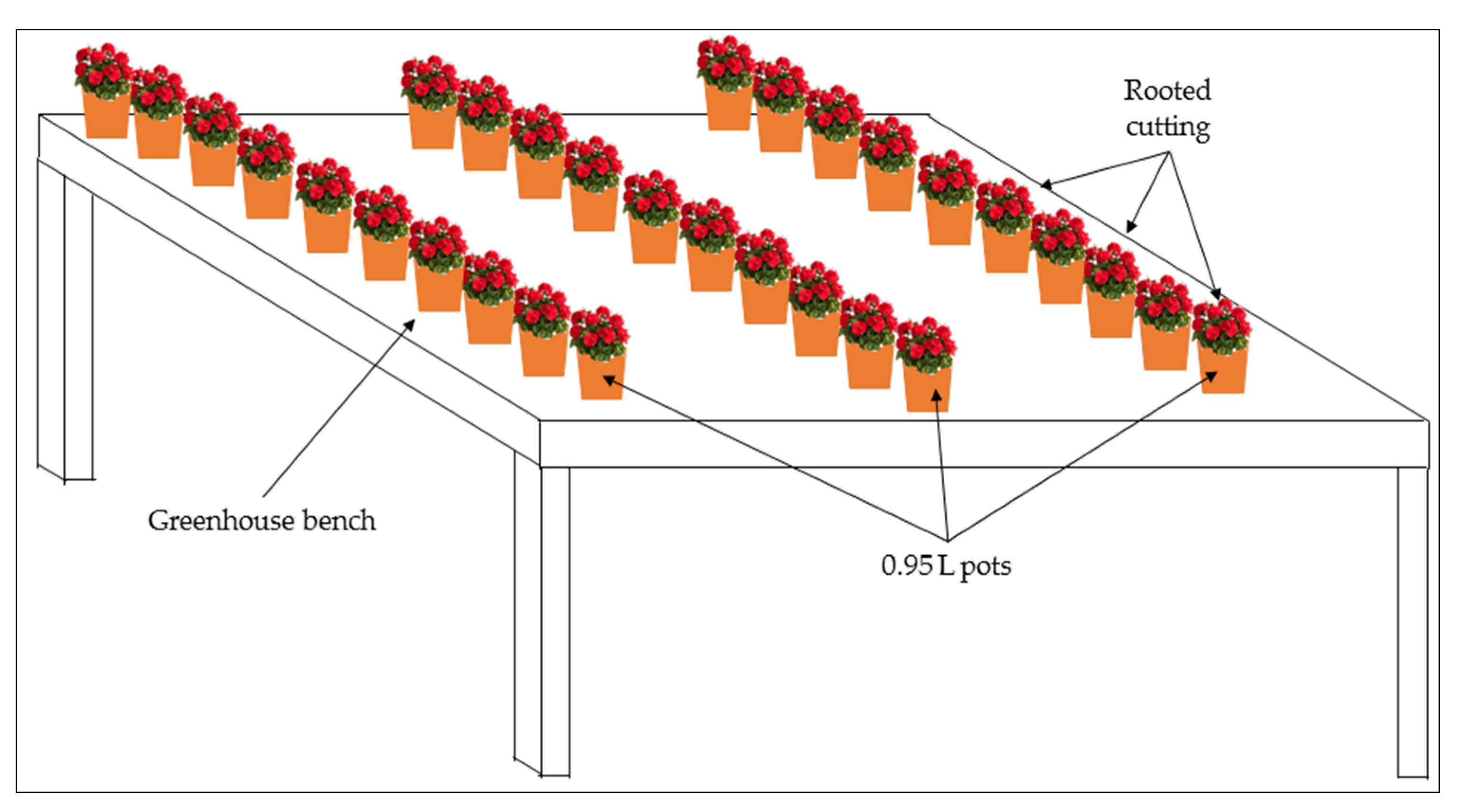 Agronomy 10 01430 g001