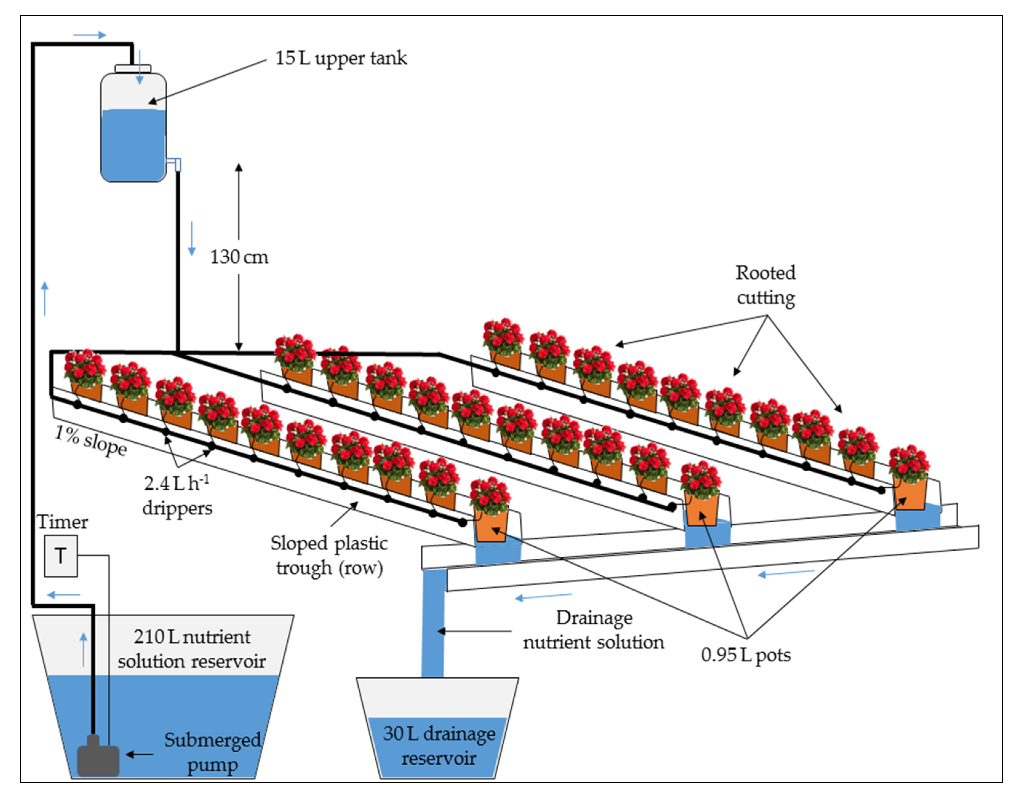 Agronomy 10 01430 g002