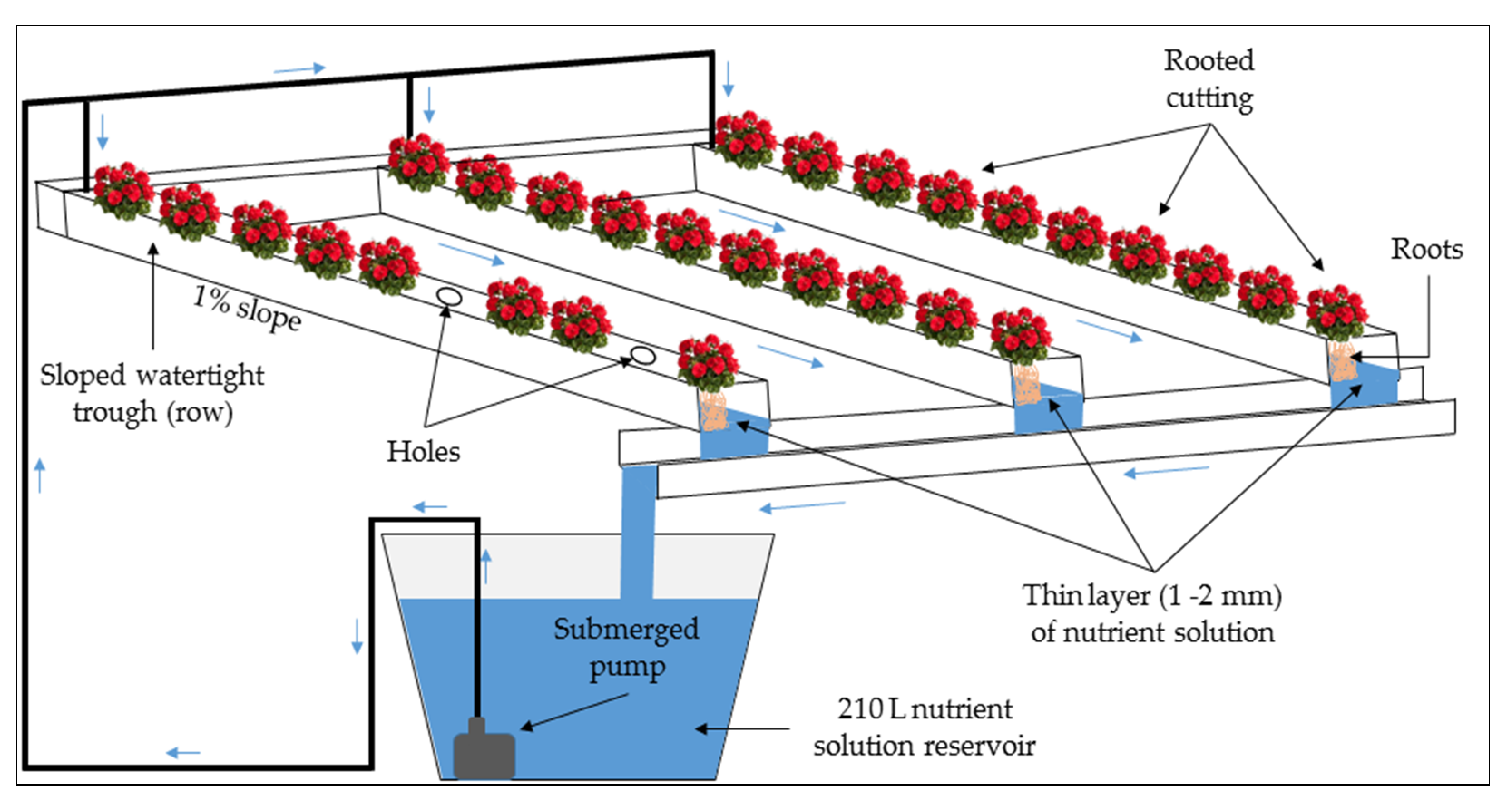 Agronomy 10 01430 g003