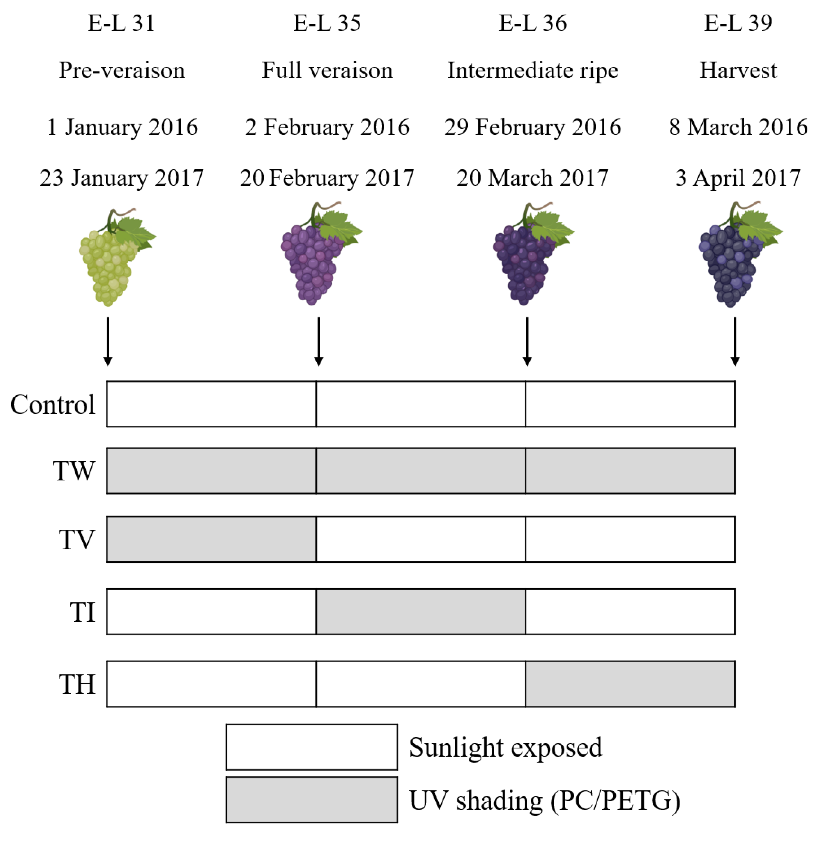 Agronomy 10 01431 g001