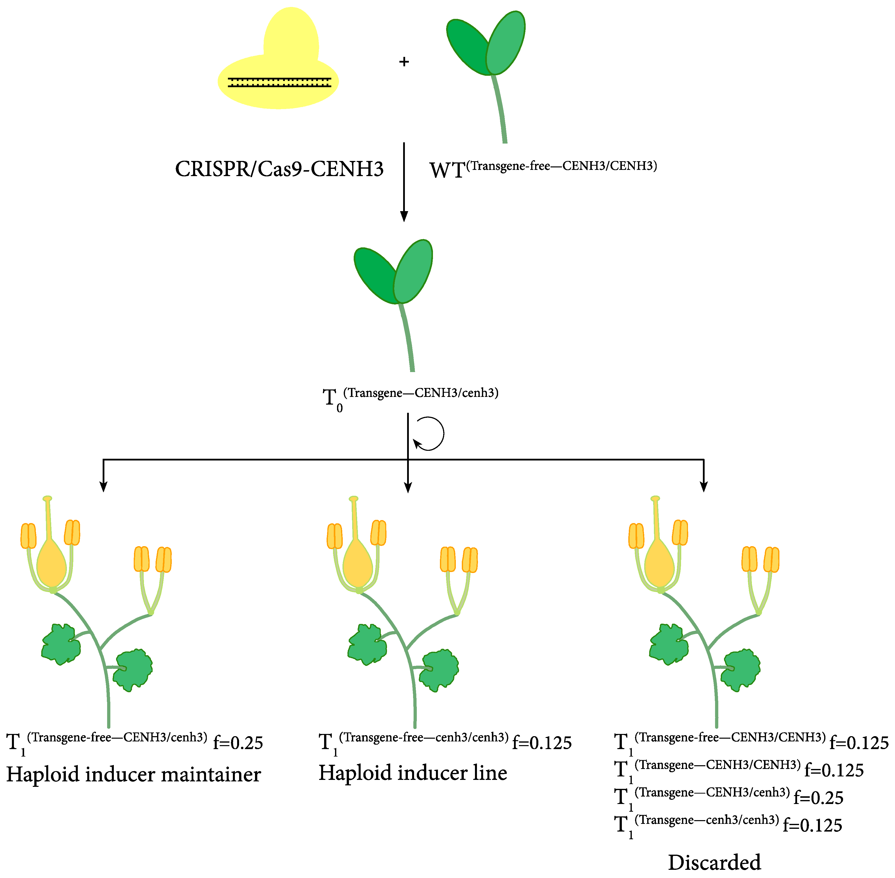 Agronomy 10 01441 g001 Agronomy 10 01441 g001