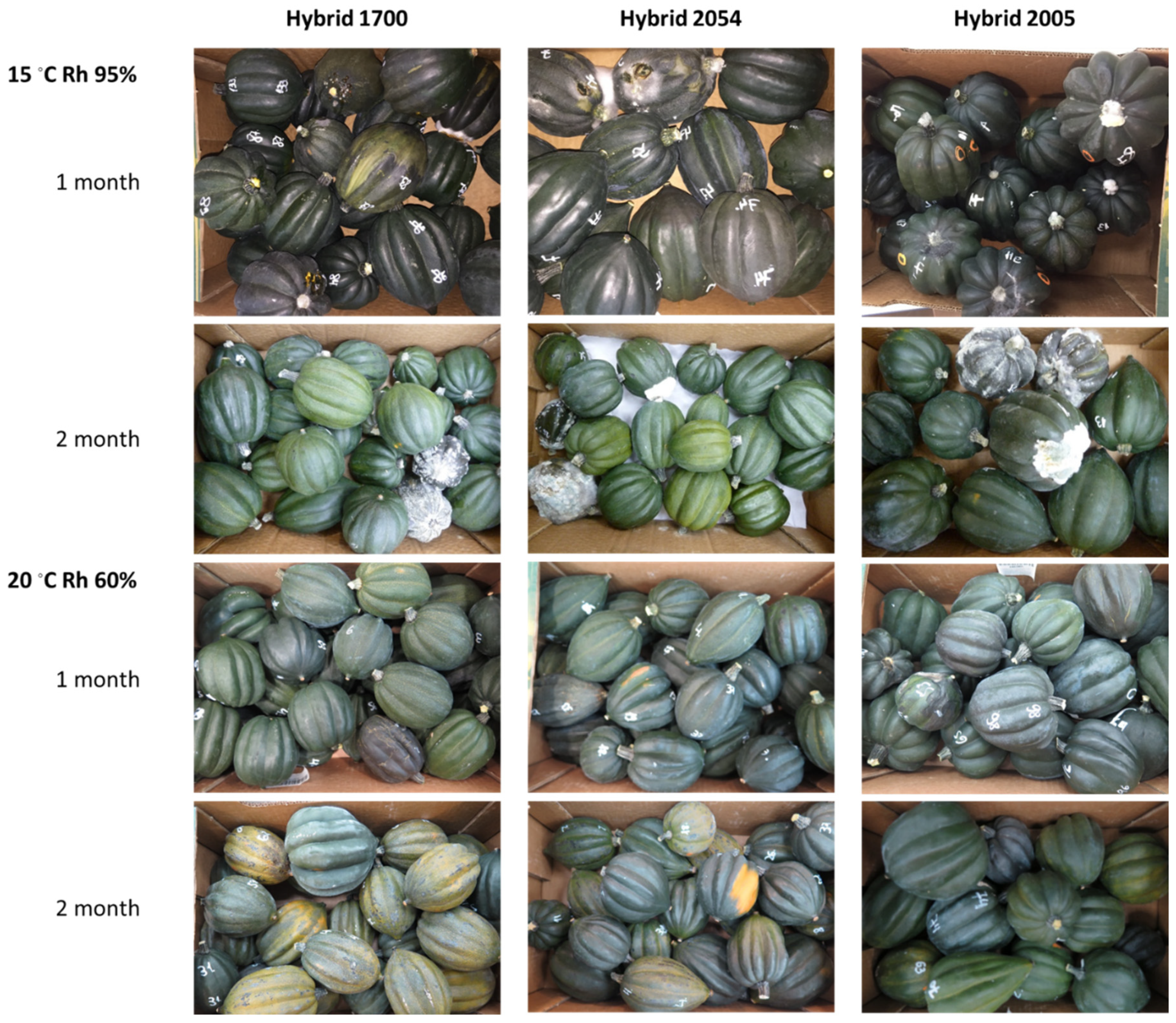 Agronomy 10 01443 g008 Agronomy 10 01443 g008