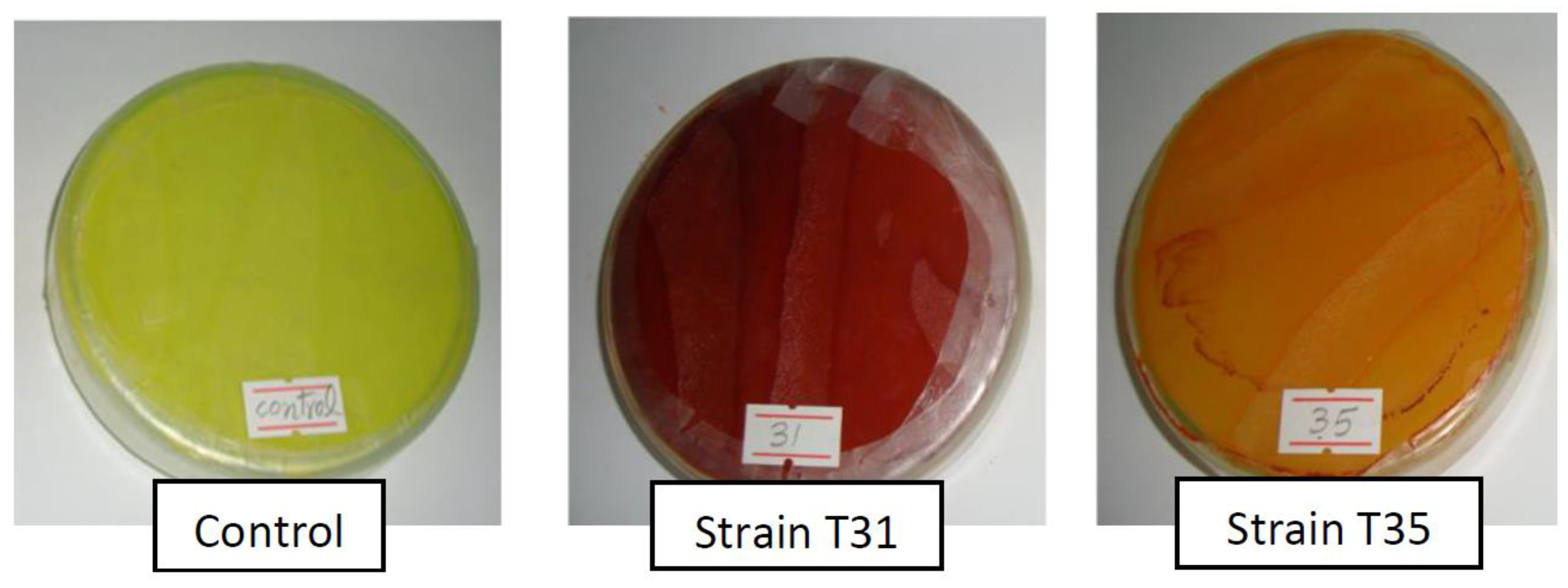 Agronomy 10 01469 g001 Agronomy 10 01469 g001