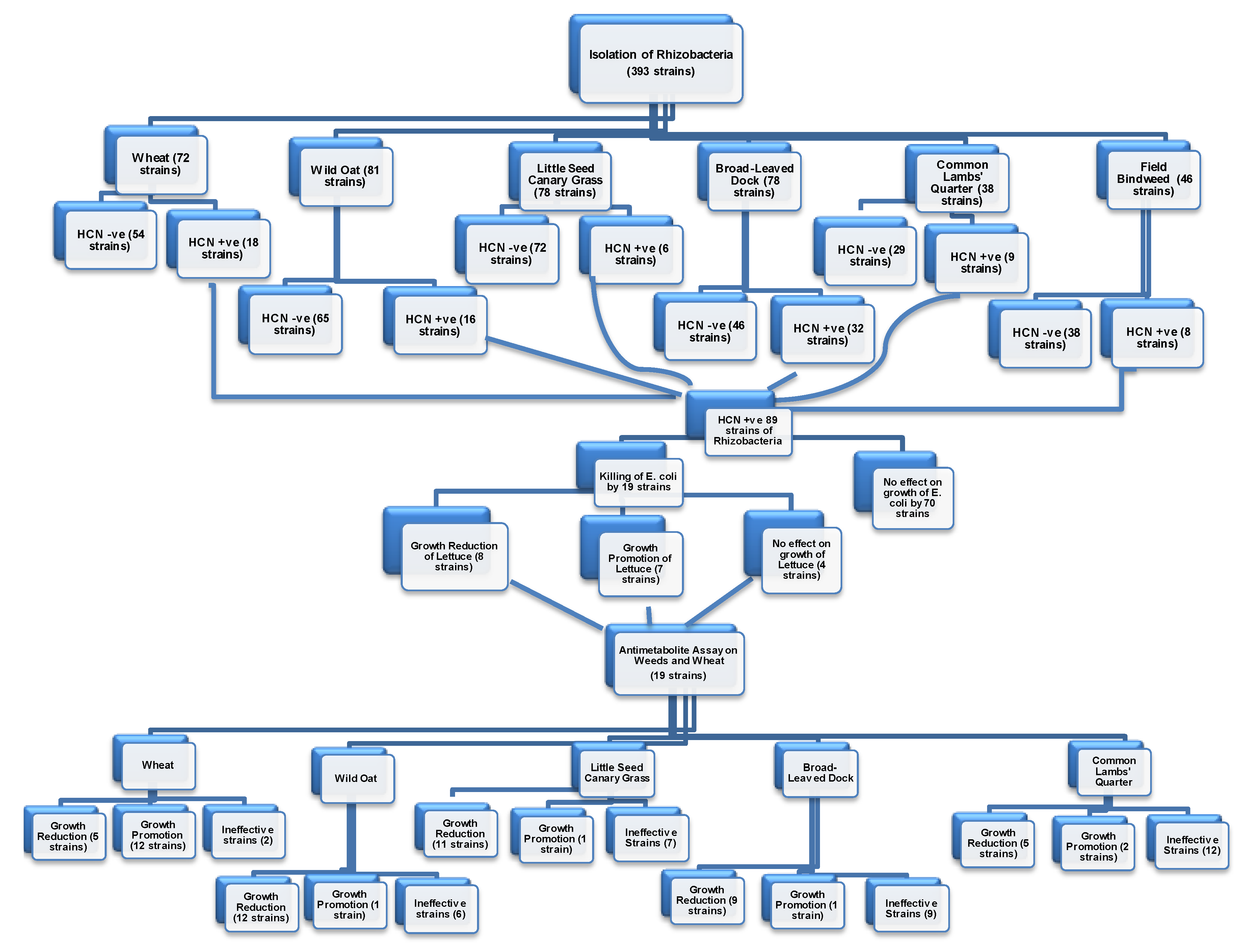 Agronomy 10 01469 g002 Agronomy 10 01469 g002
