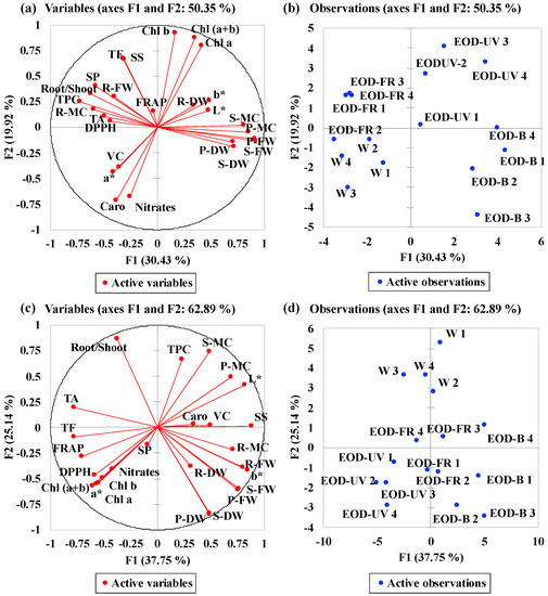 Agronomy Free Full Text End Of Day Led Lightings Influence The Leaf Color Growth And Phytochemicals In Two Cultivars Of Lettuce Html