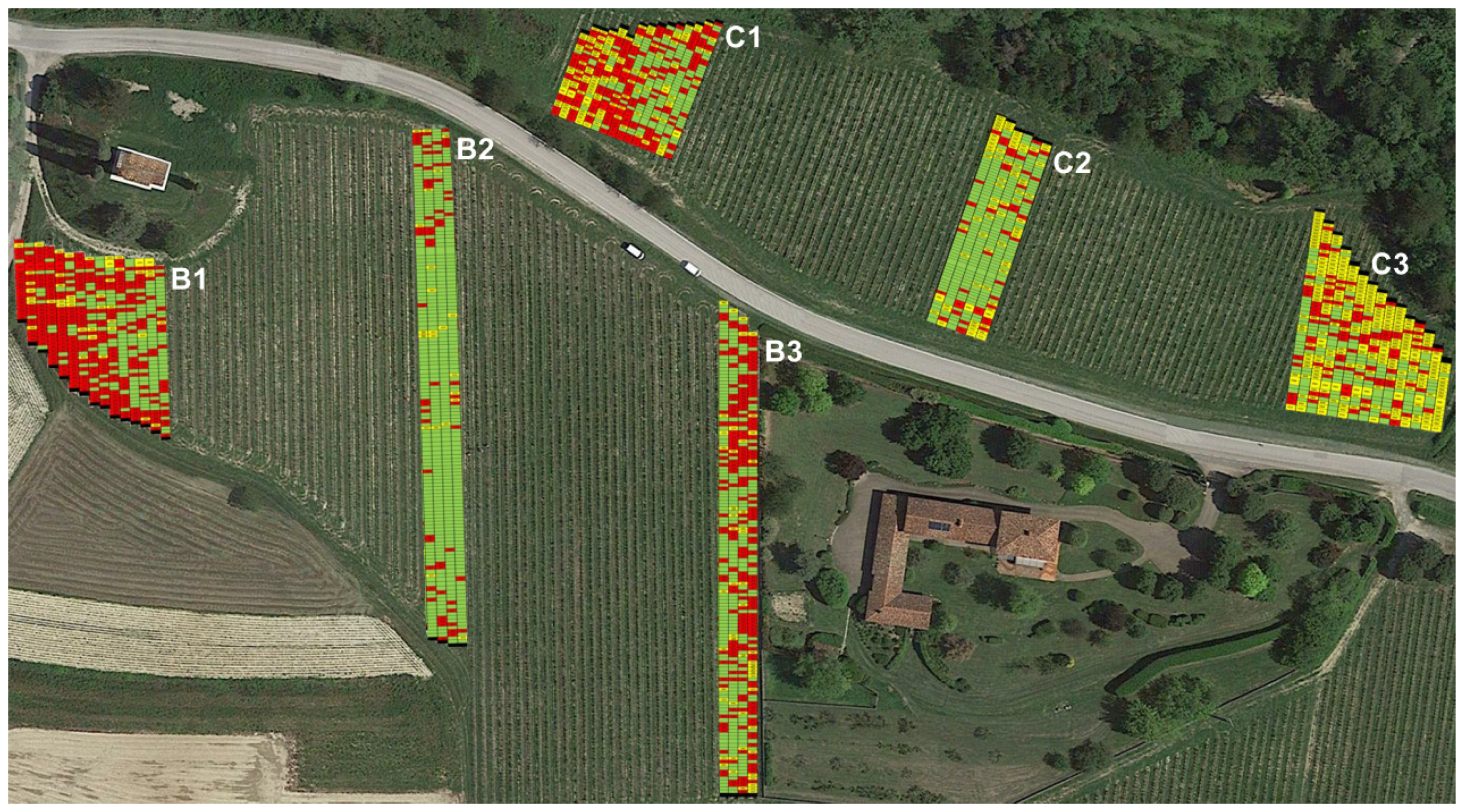 Agronomy 10 01479 g001