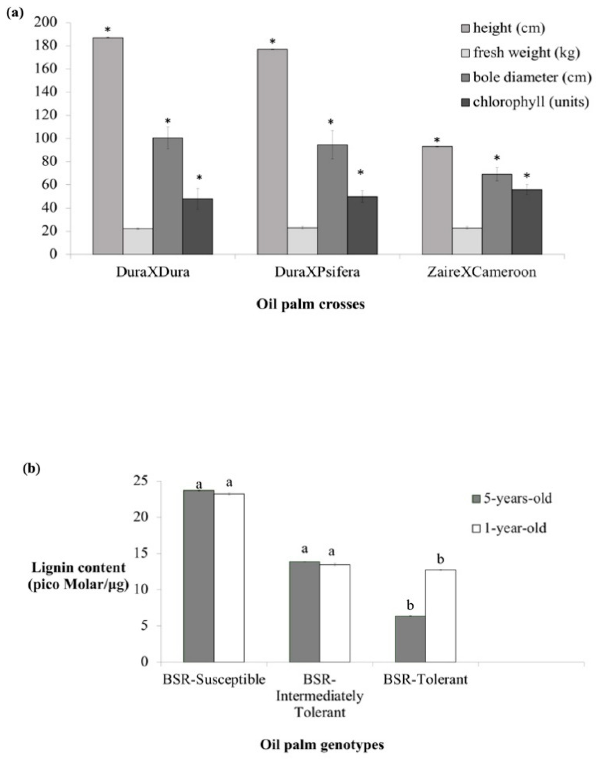 Agronomy 10 01487 g002