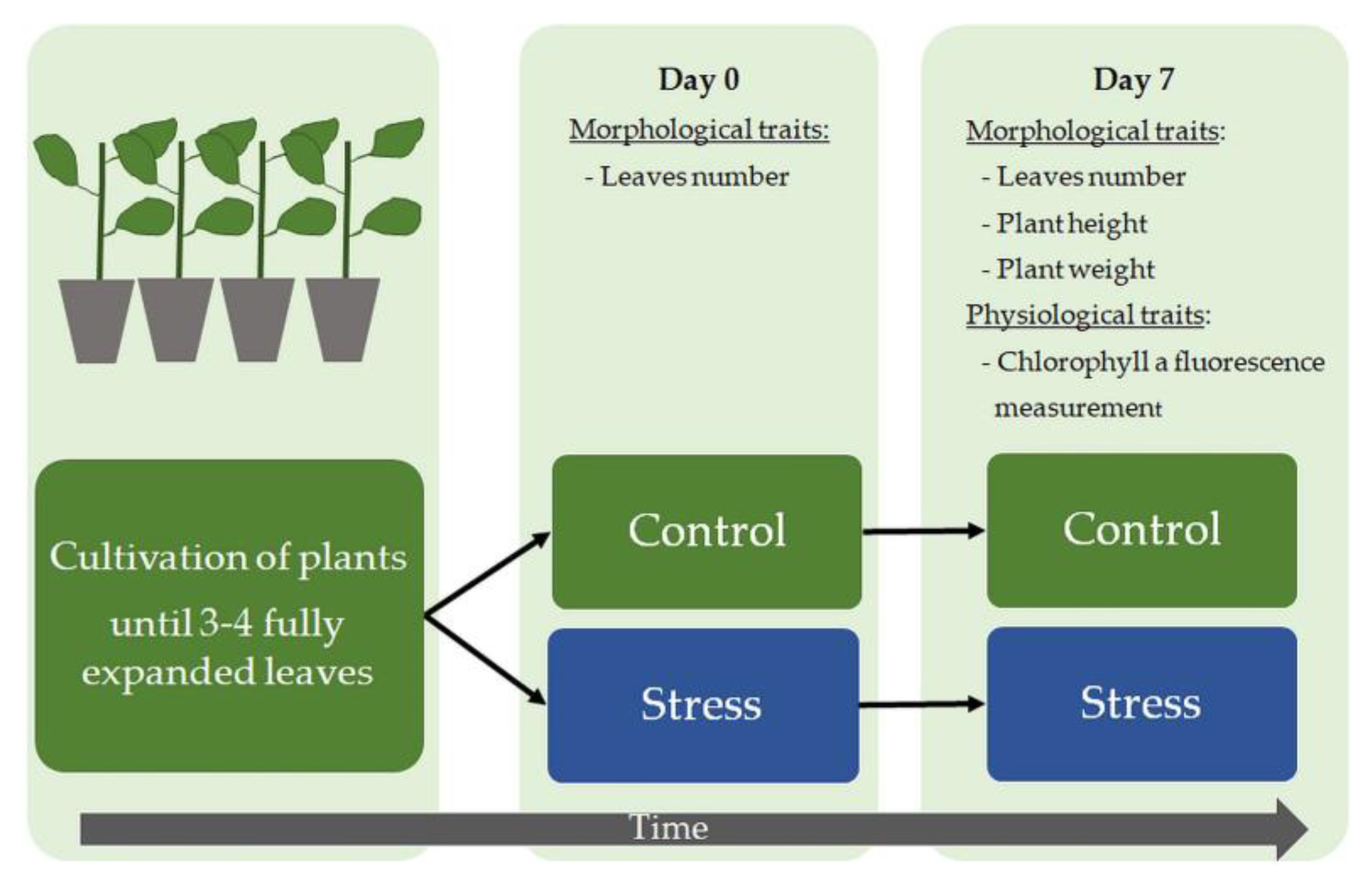 Agronomy Free FullText Selection of Tomato and Cucumber Accessions