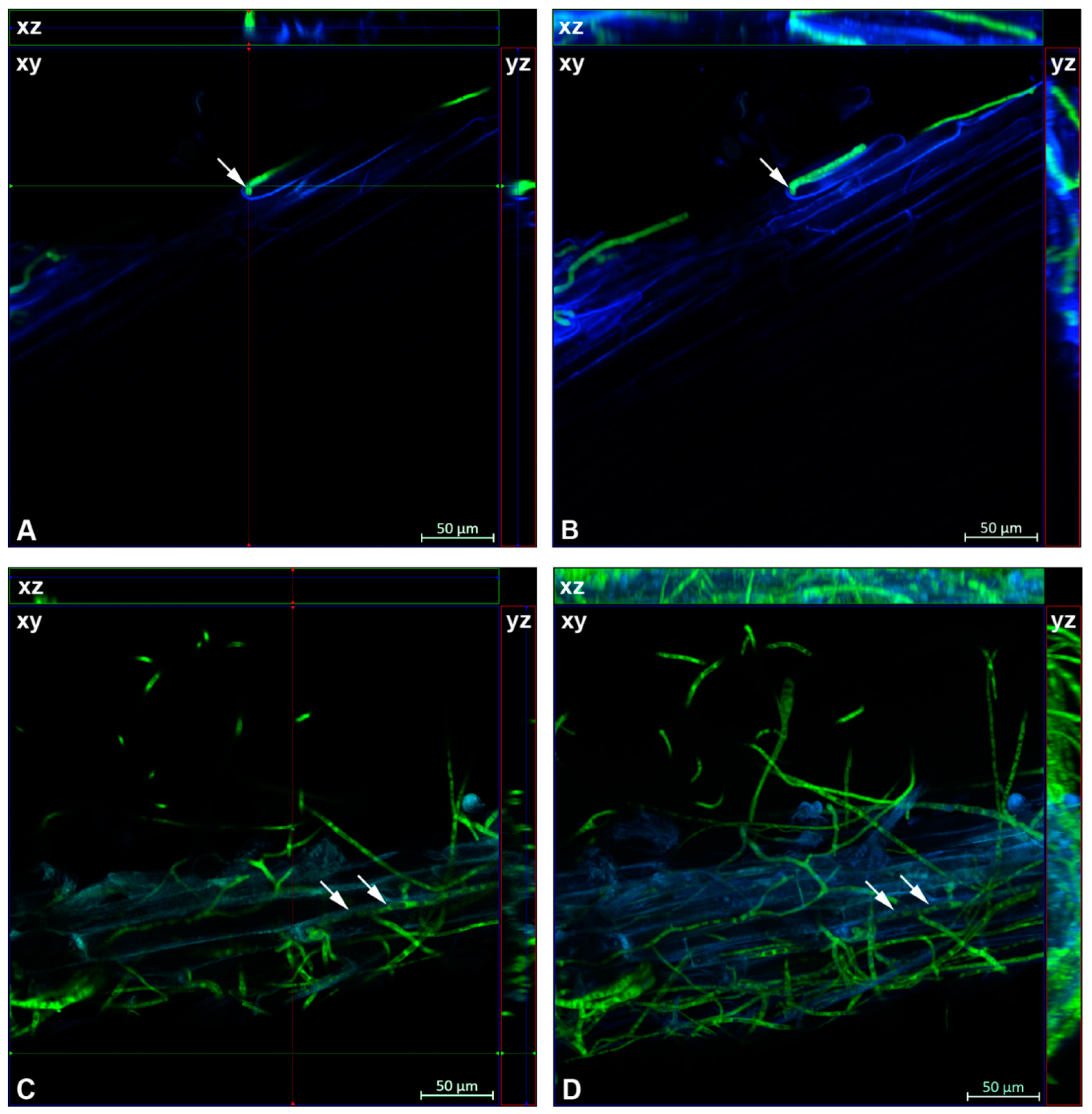 Agronomy 10 01493 g002