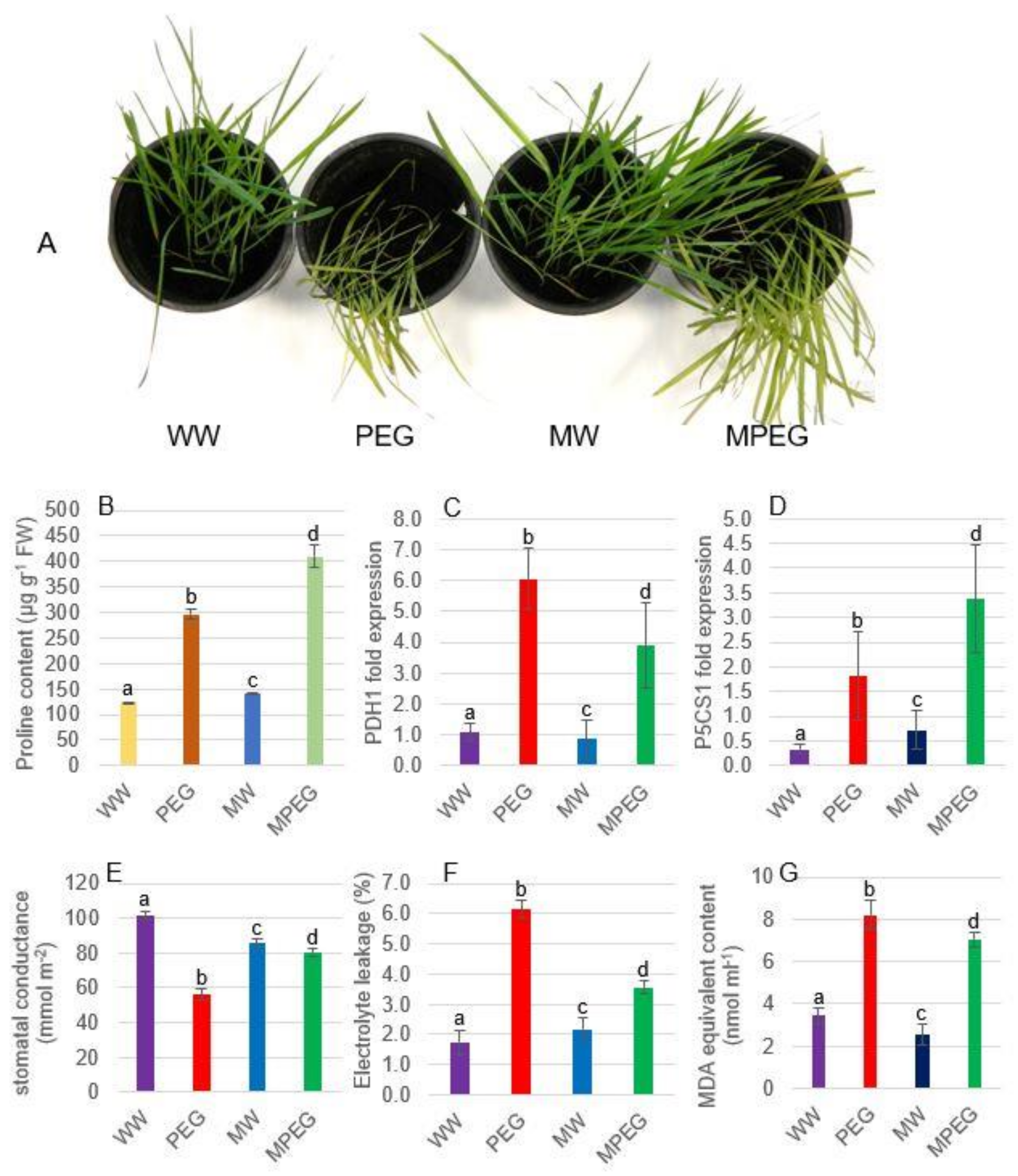 Agronomy 10 01520 g002