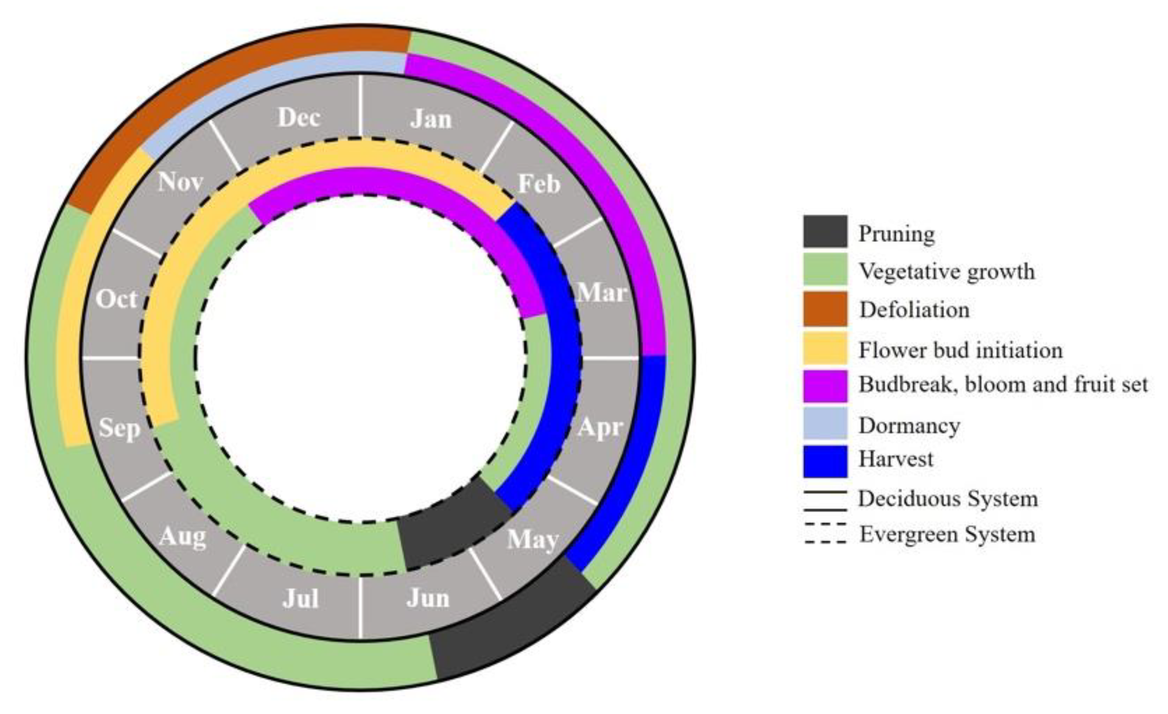 Agronomy 10 01531 g004