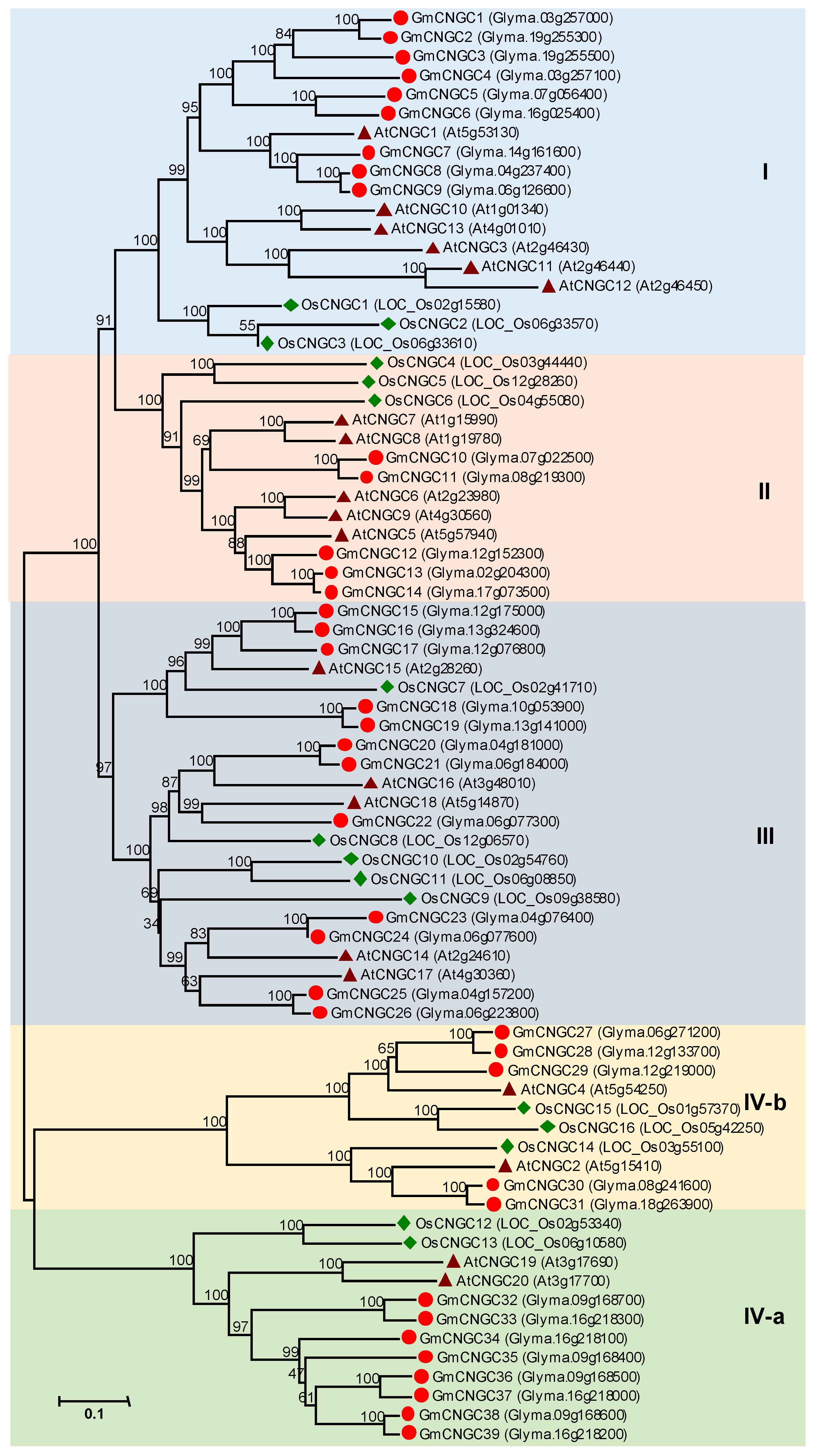 Agronomy 10 01539 g002 Agronomy 10 01539 g002