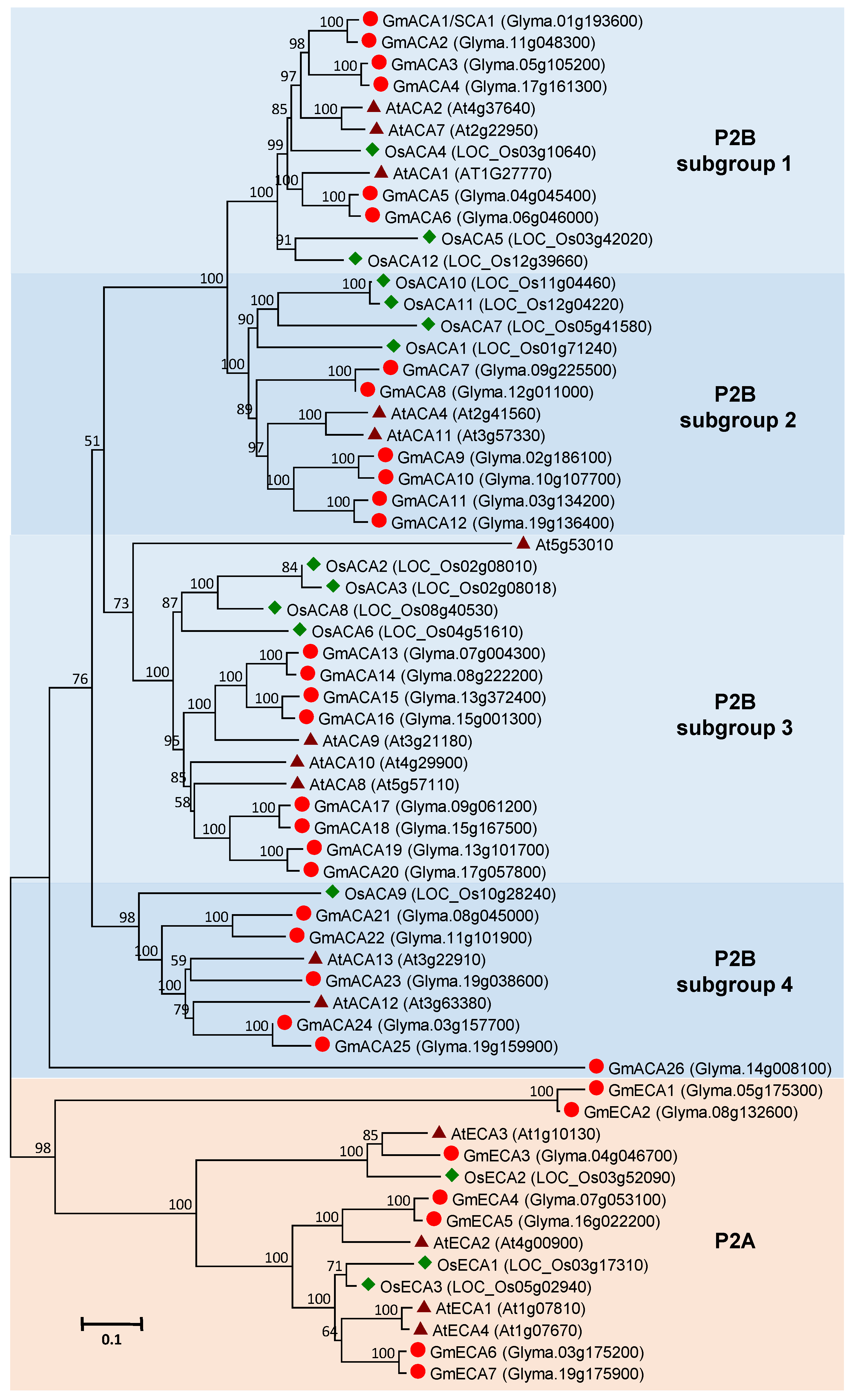 Agronomy 10 01539 g003 Agronomy 10 01539 g003