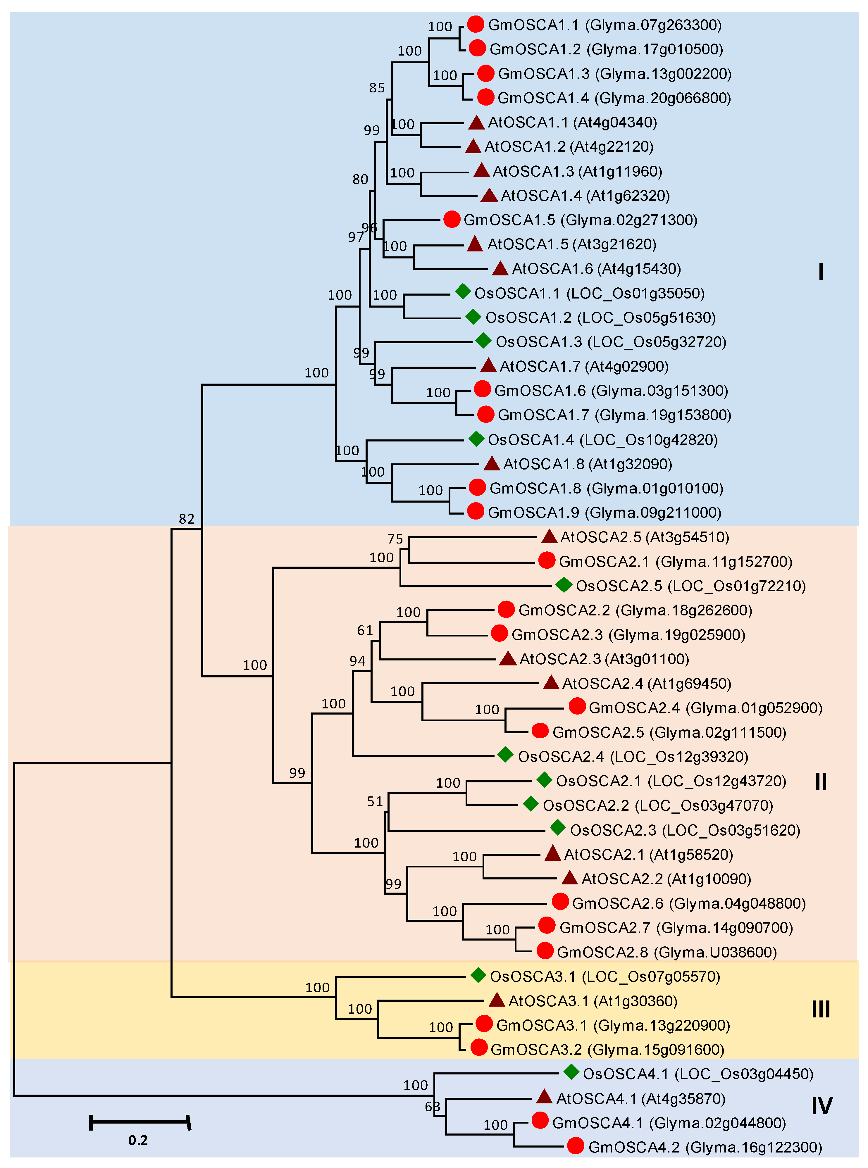 Agronomy 10 01539 g005 Agronomy 10 01539 g005