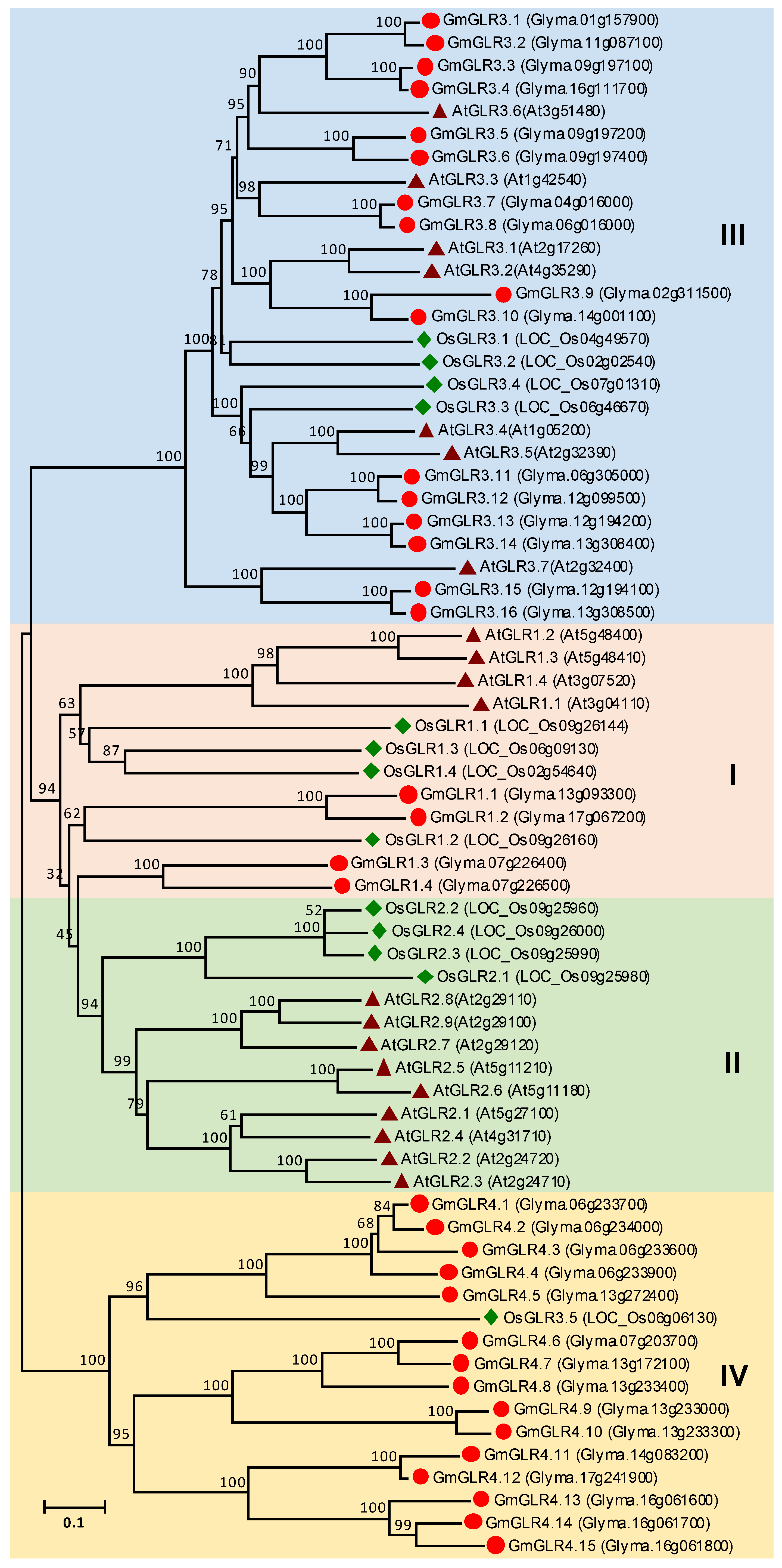 Agronomy 10 01539 g006 Agronomy 10 01539 g006