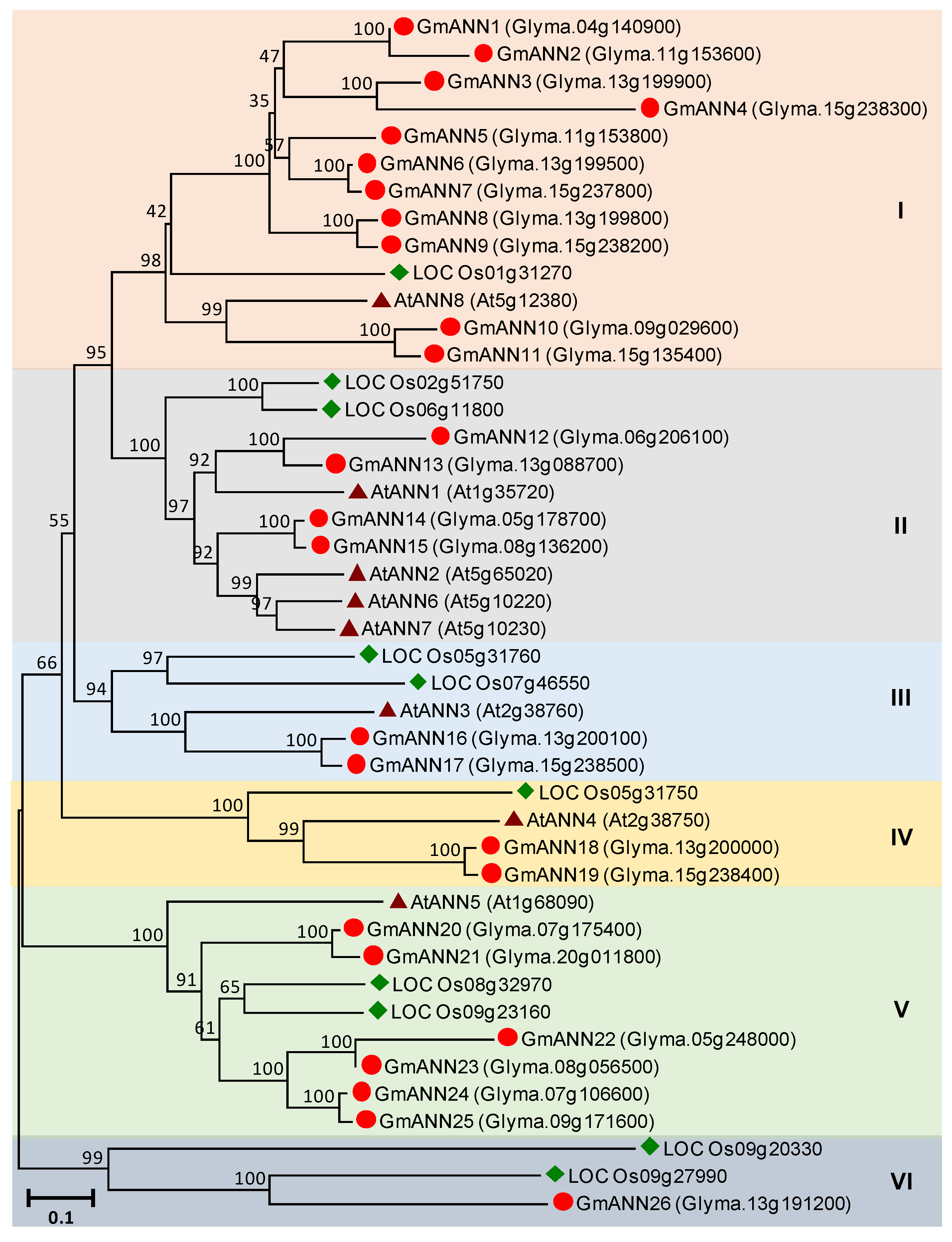 Agronomy 10 01539 g007 Agronomy 10 01539 g007