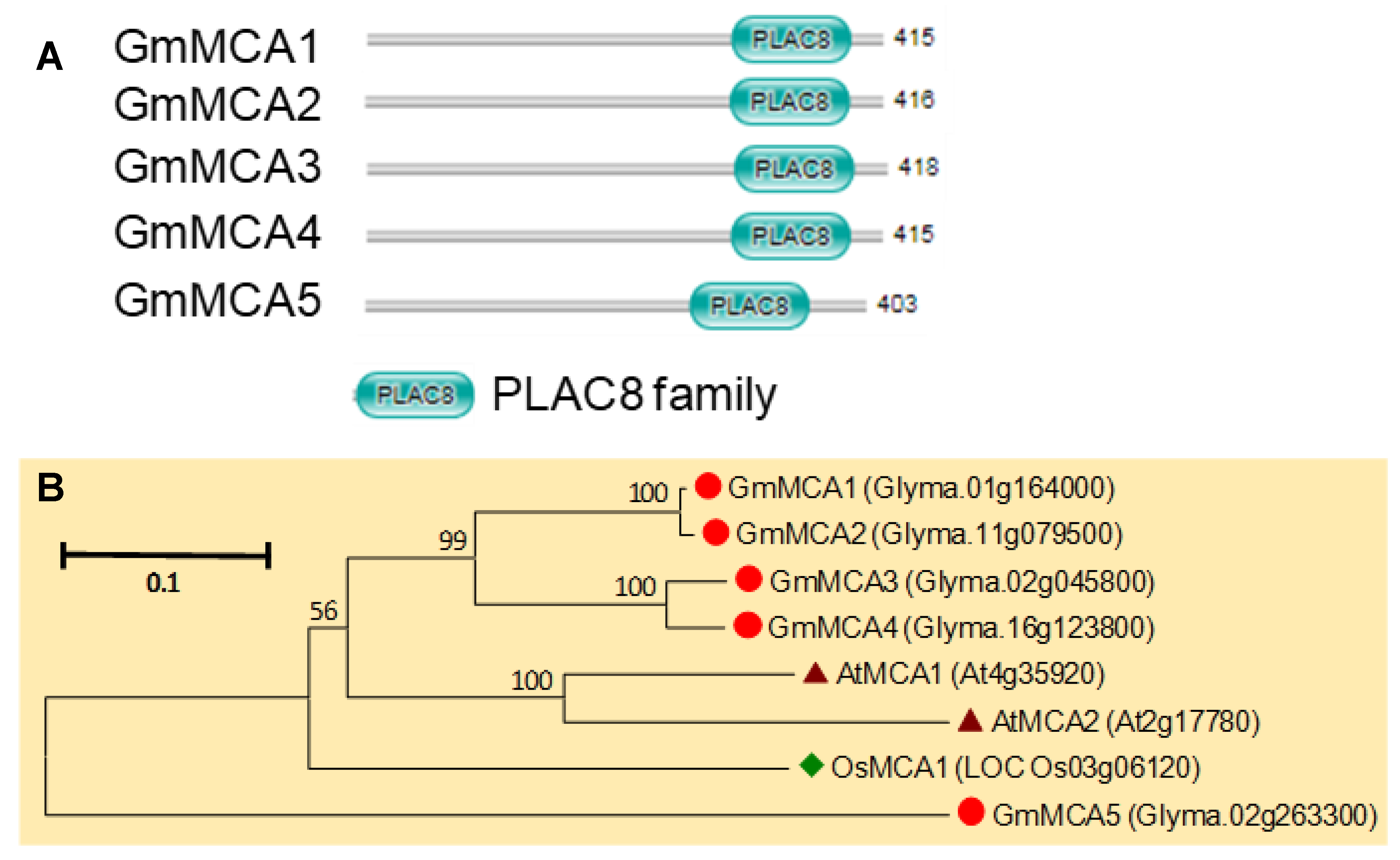 Agronomy 10 01539 g010 Agronomy 10 01539 g010