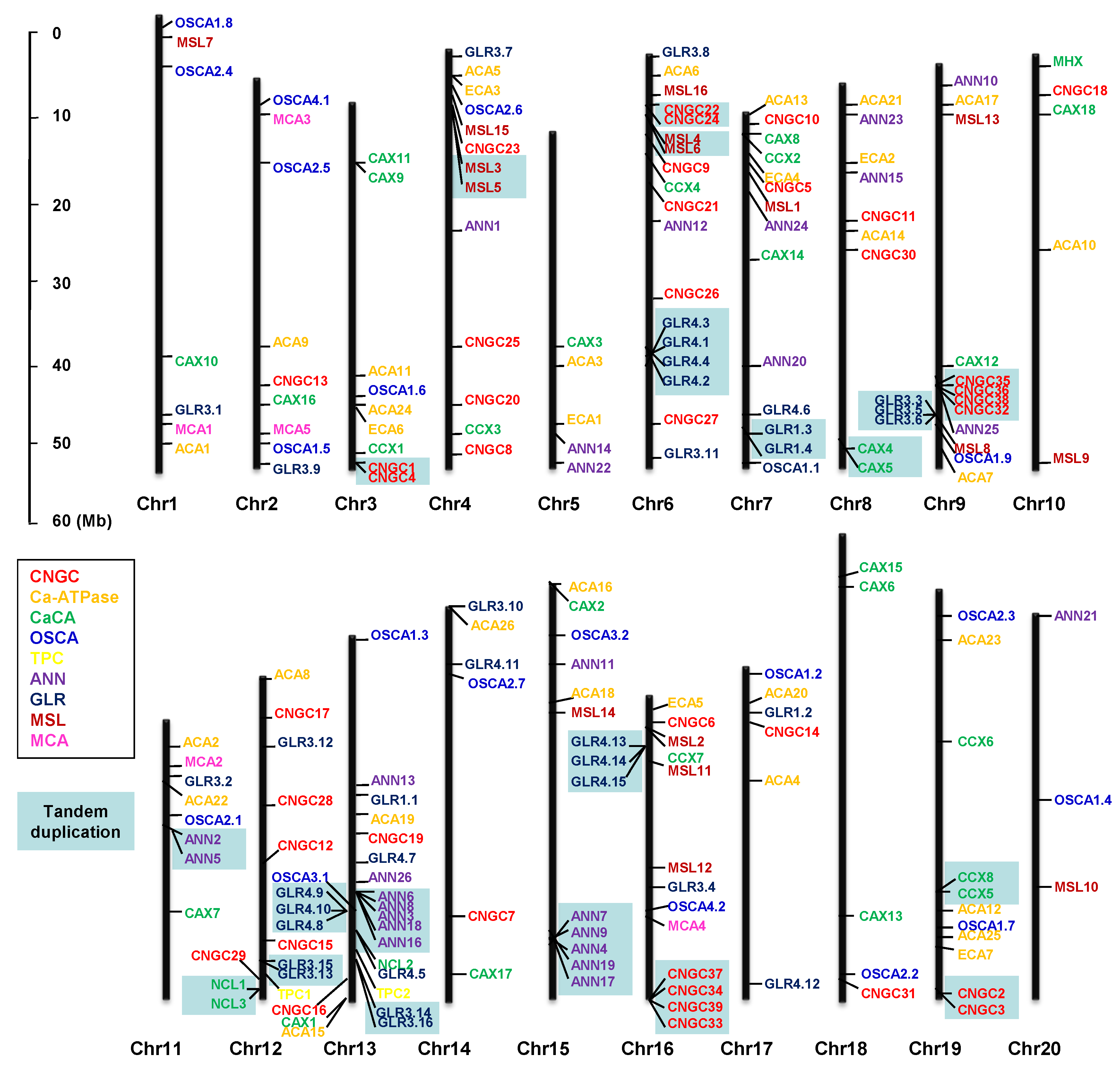 Agronomy 10 01539 g011 Agronomy 10 01539 g011