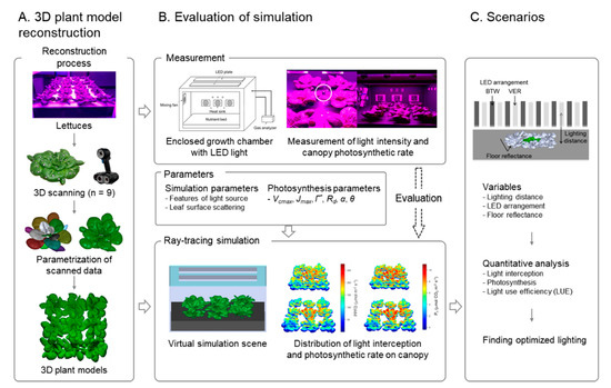 Agronomy Free Full Text Interpretation And Evaluation Of Electrical Lighting In Plant Factories With Ray Tracing Simulation And 3d Plant Modeling Html