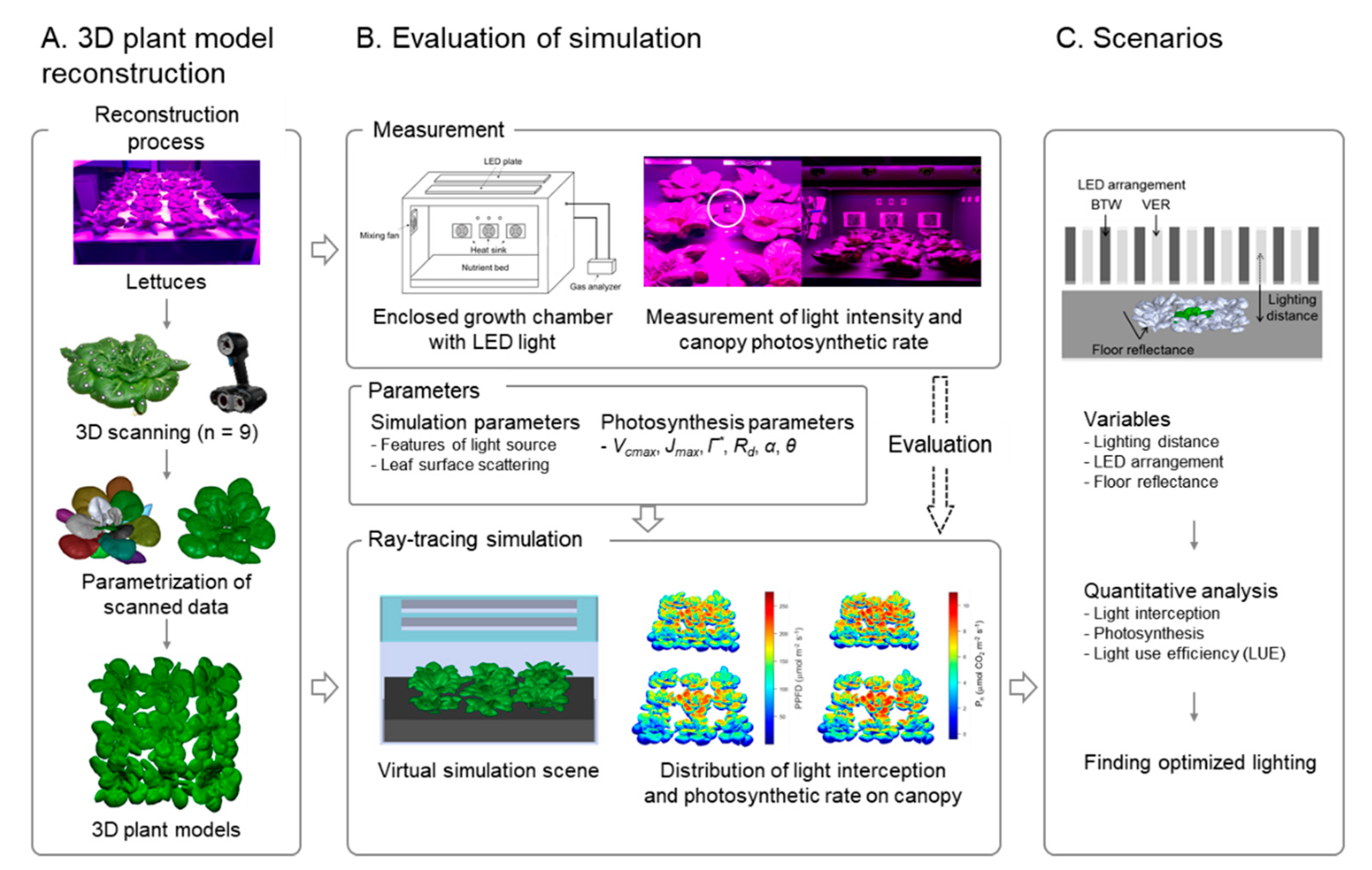 Agronomy Free Full Text Interpretation And Evaluation Of Electrical Lighting In Plant Factories With Ray Tracing Simulation And 3d Plant Modeling Html Agronomy Free Full Text Interpretation And Evaluation Of Electrical Lighting In Plant Factories With Ray Tracing Simulation And 3d Plant Modeling Html