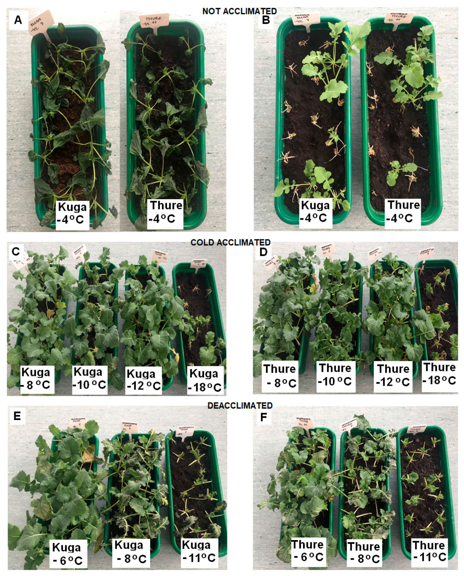 Agronomy 10 01565 g002