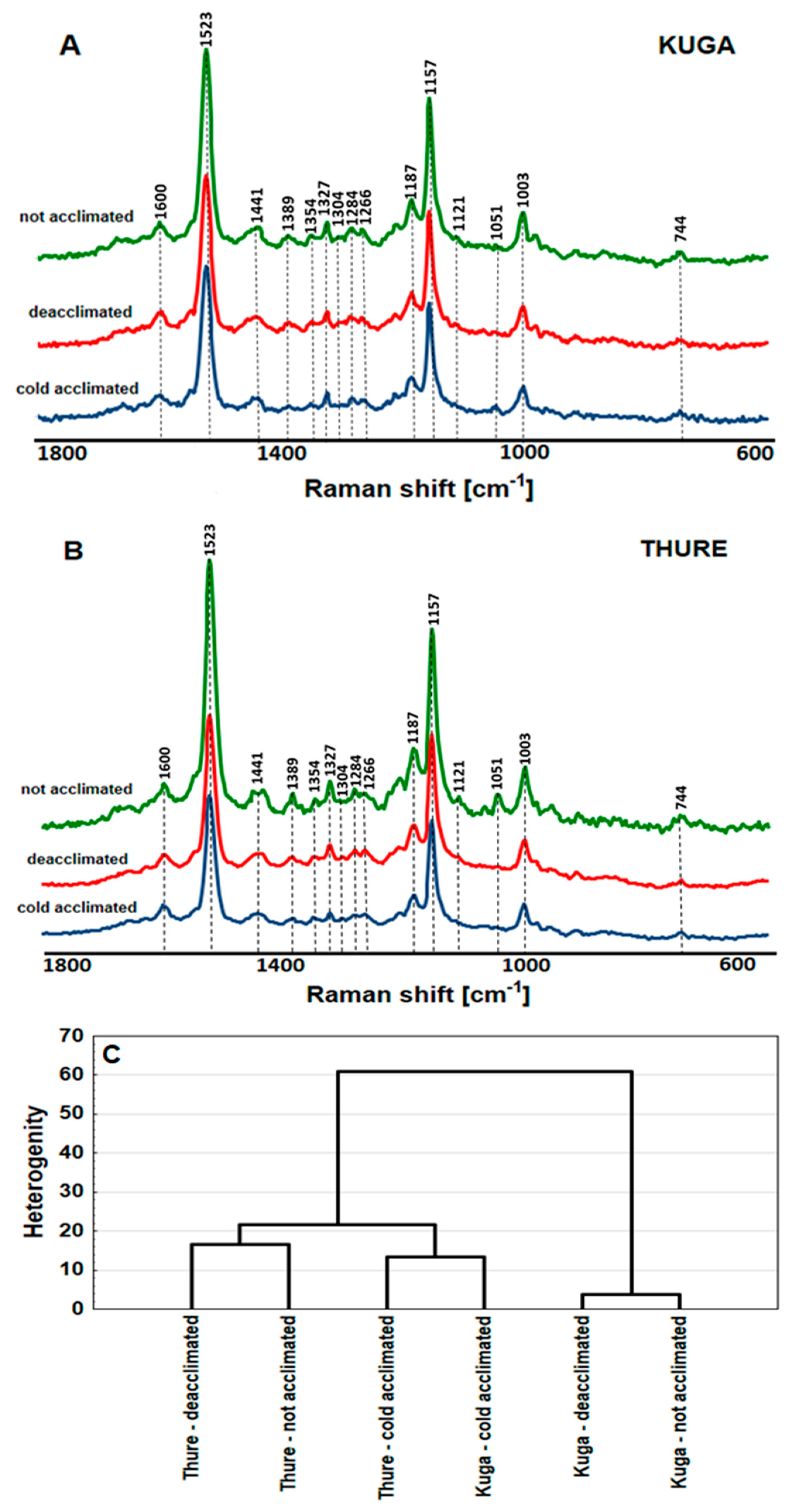 Agronomy 10 01565 g007