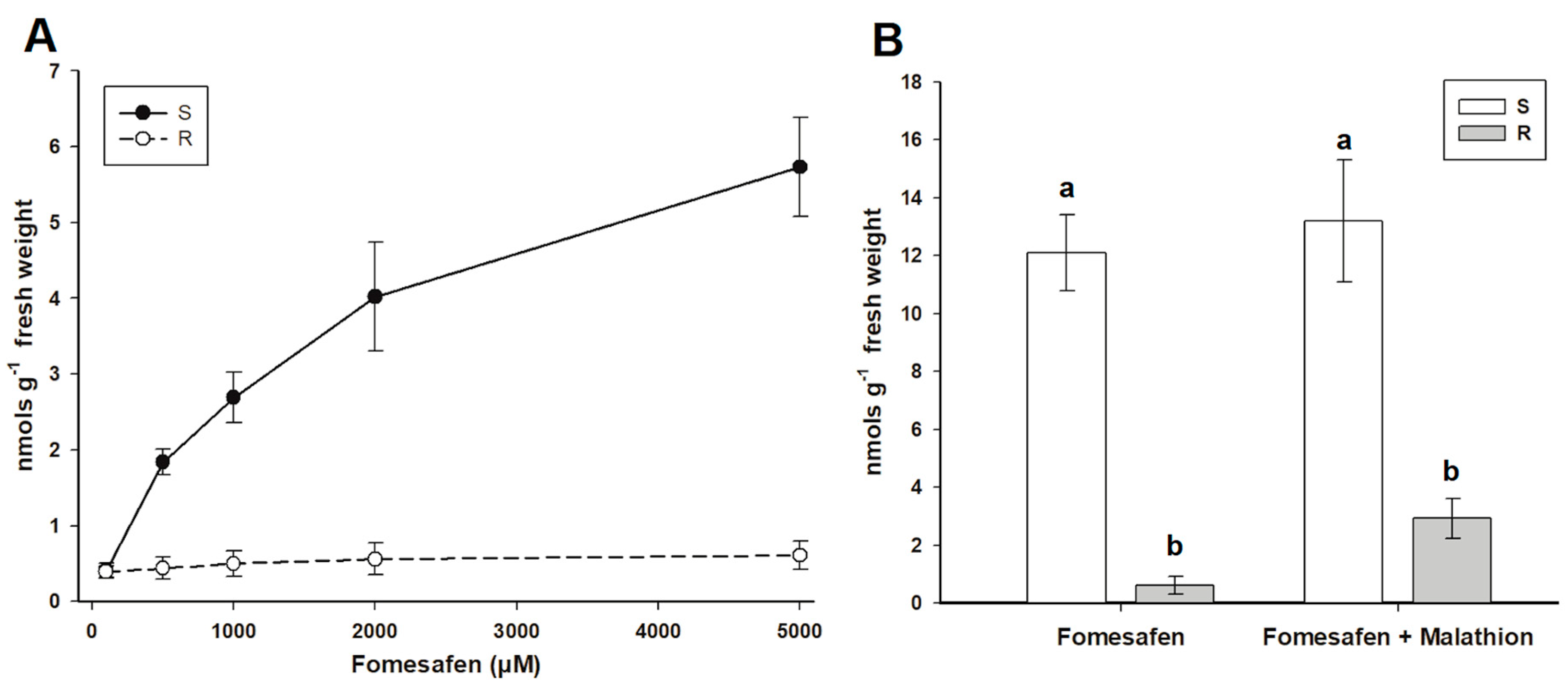 Agronomy 10 01573 g004 Agronomy 10 01573 g004