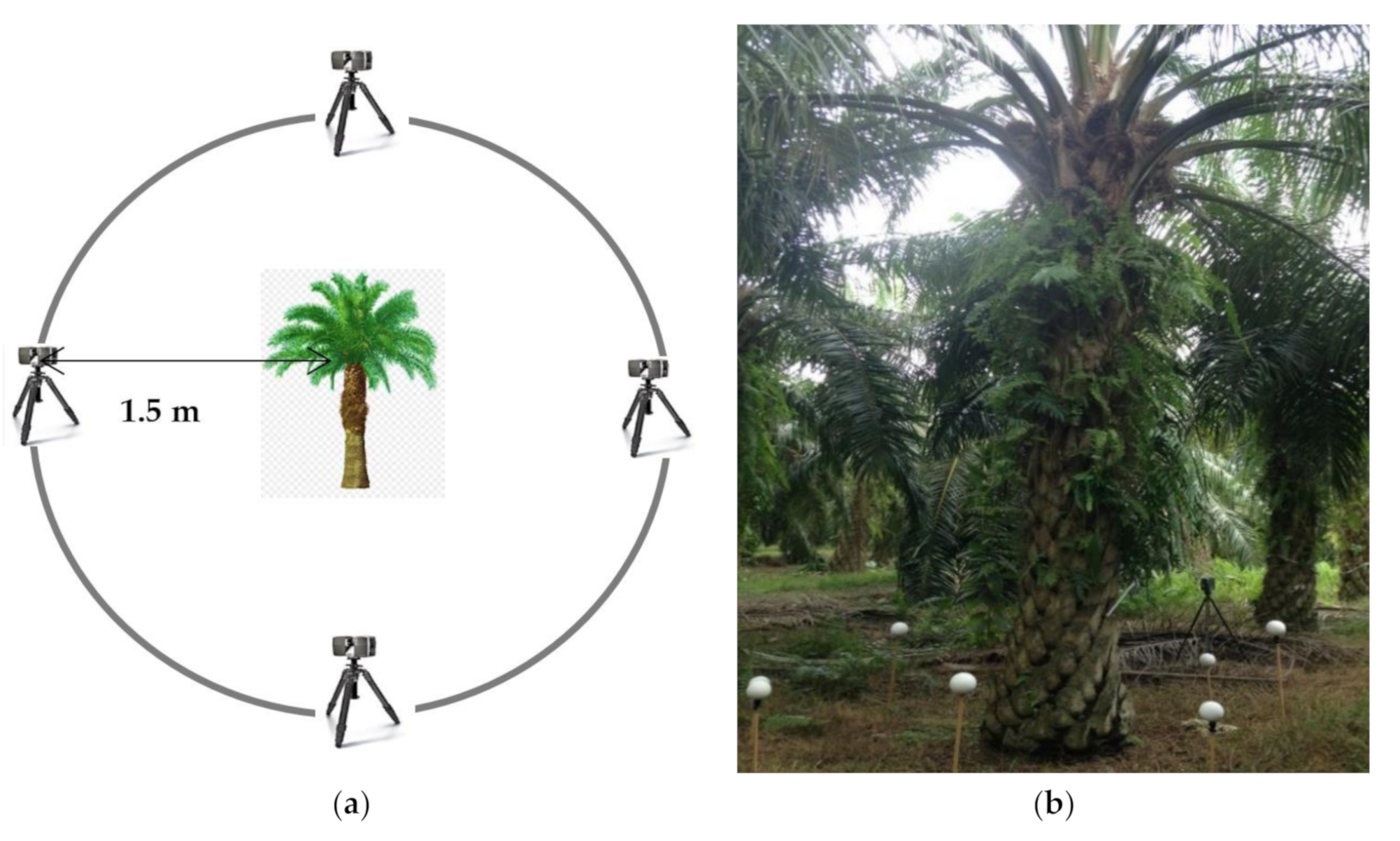 Agronomy 10 01624 g002