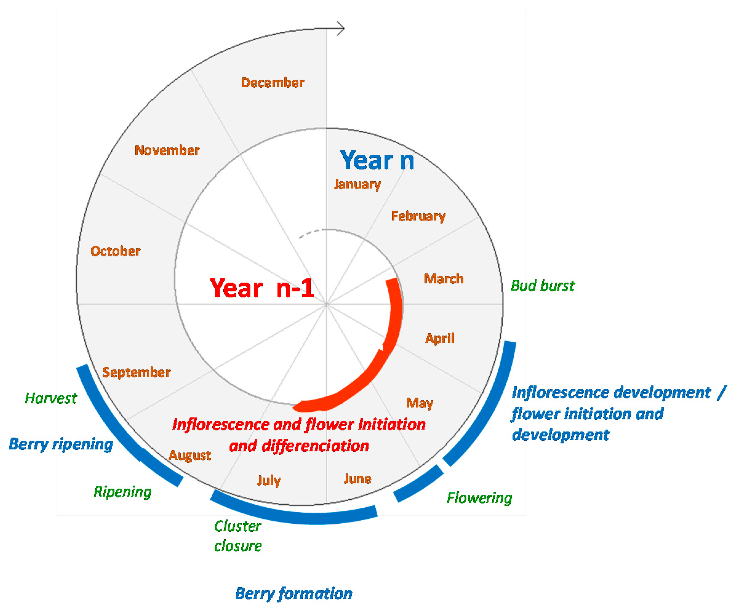 Agronomy 10 01626 g001