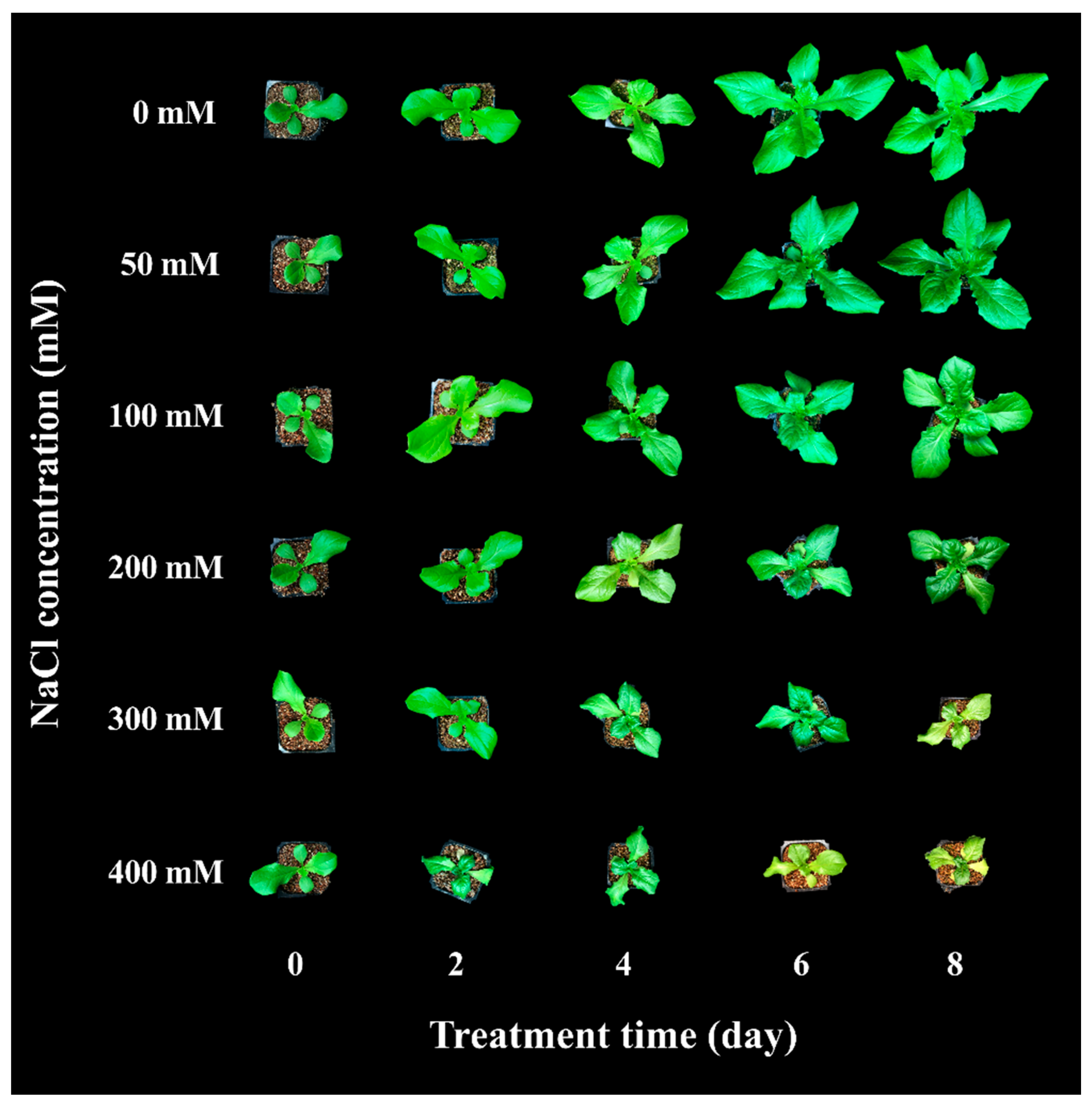 Agronomy 10 01627 g001