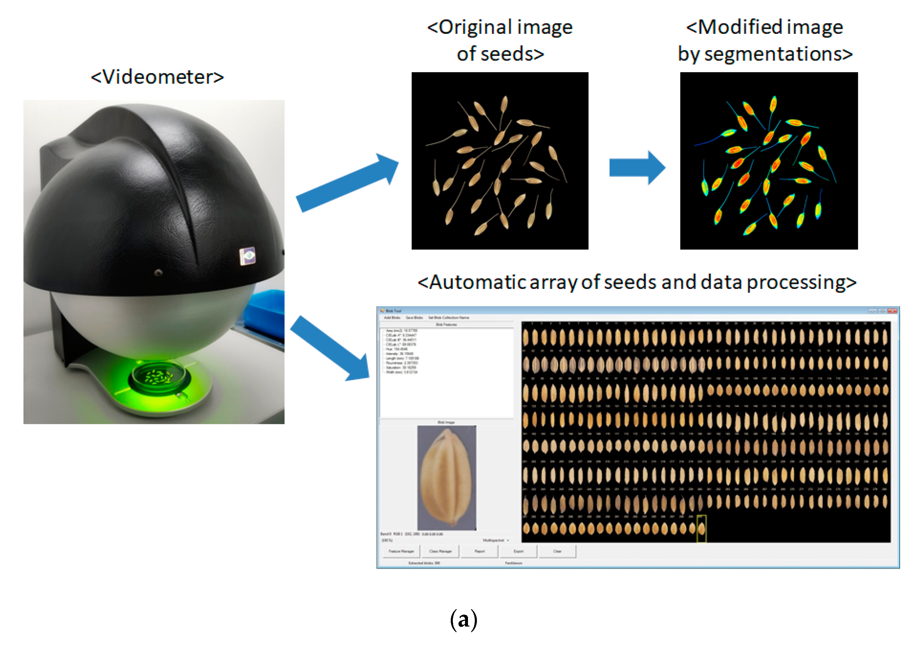 Agronomy 10 01629 g001a Agronomy 10 01629 g001a