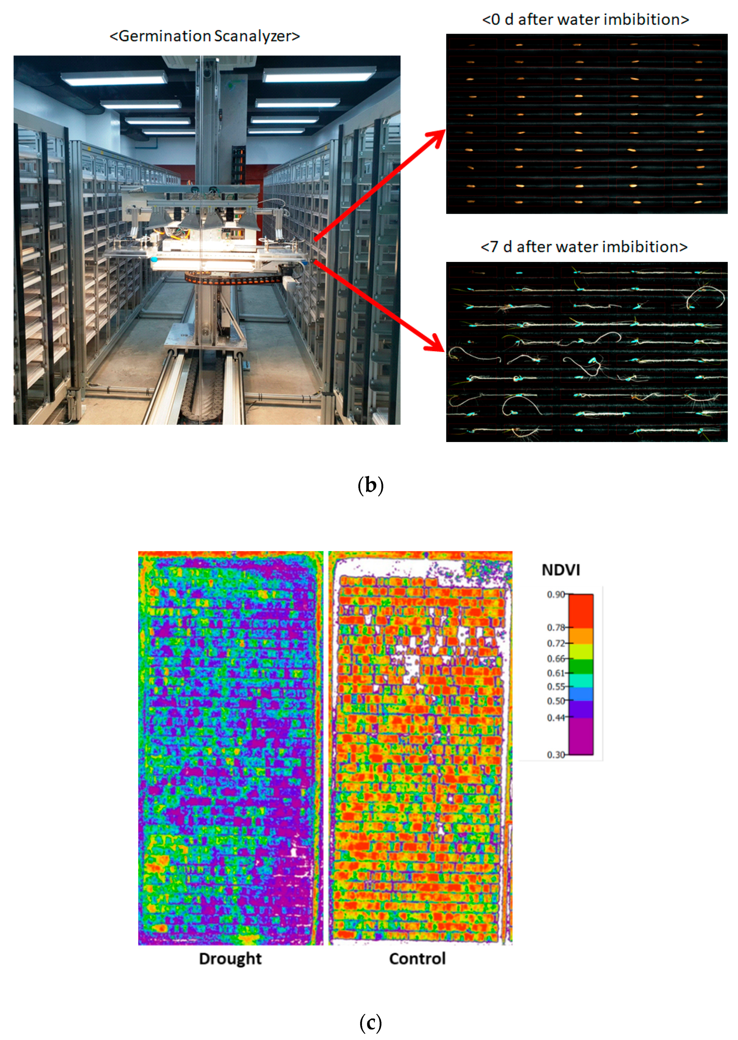 Agronomy 10 01629 g001b Agronomy 10 01629 g001b
